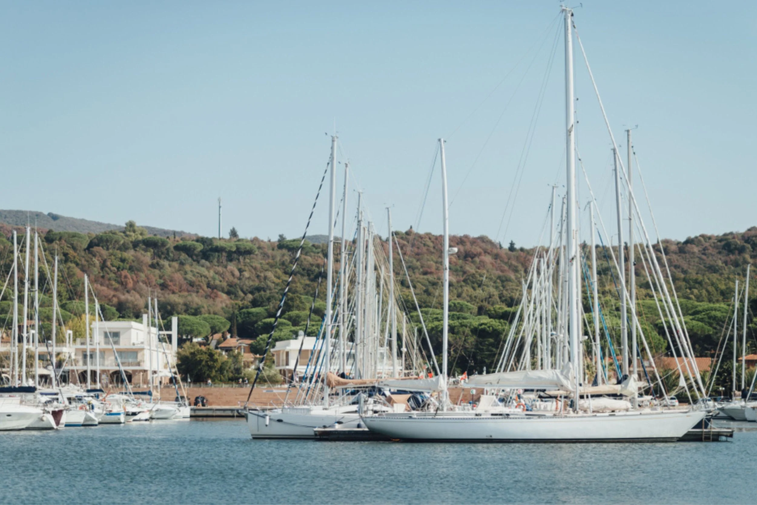 Sailboats docked at a marina with green hills and houses in the background.