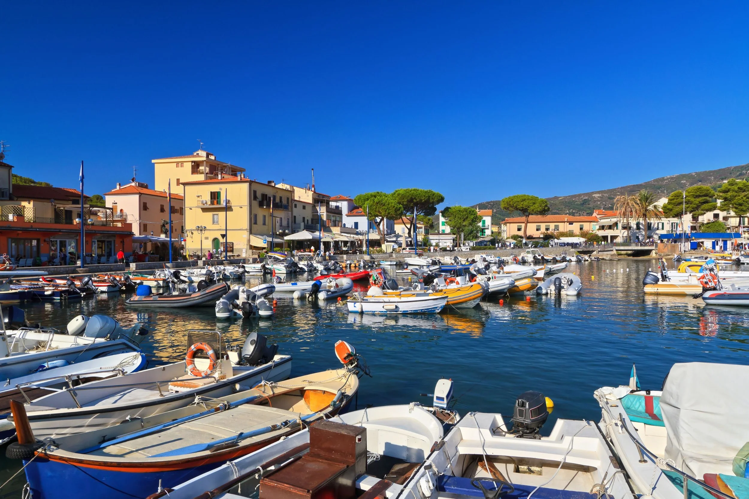 A vibrant harbor with numerous small boats docked, colorful buildings along the waterfront, green trees, and a clear blue sky in the background.
