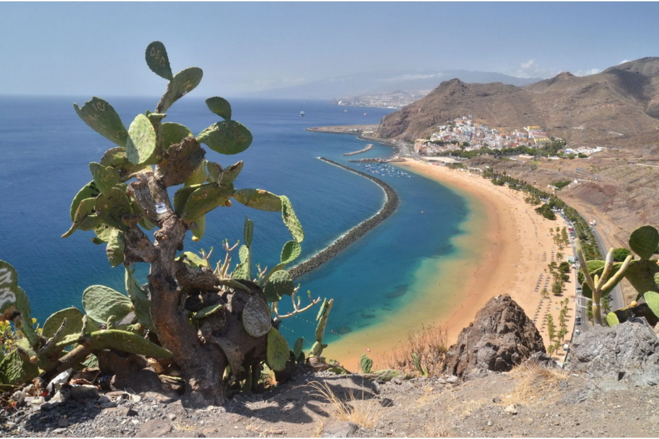 A coastal landscape with a cactus in the foreground, a curved beach with colorful sands, and a breakwater extending into the ocean, with mountains and a town in the distance under a clear blue sky.