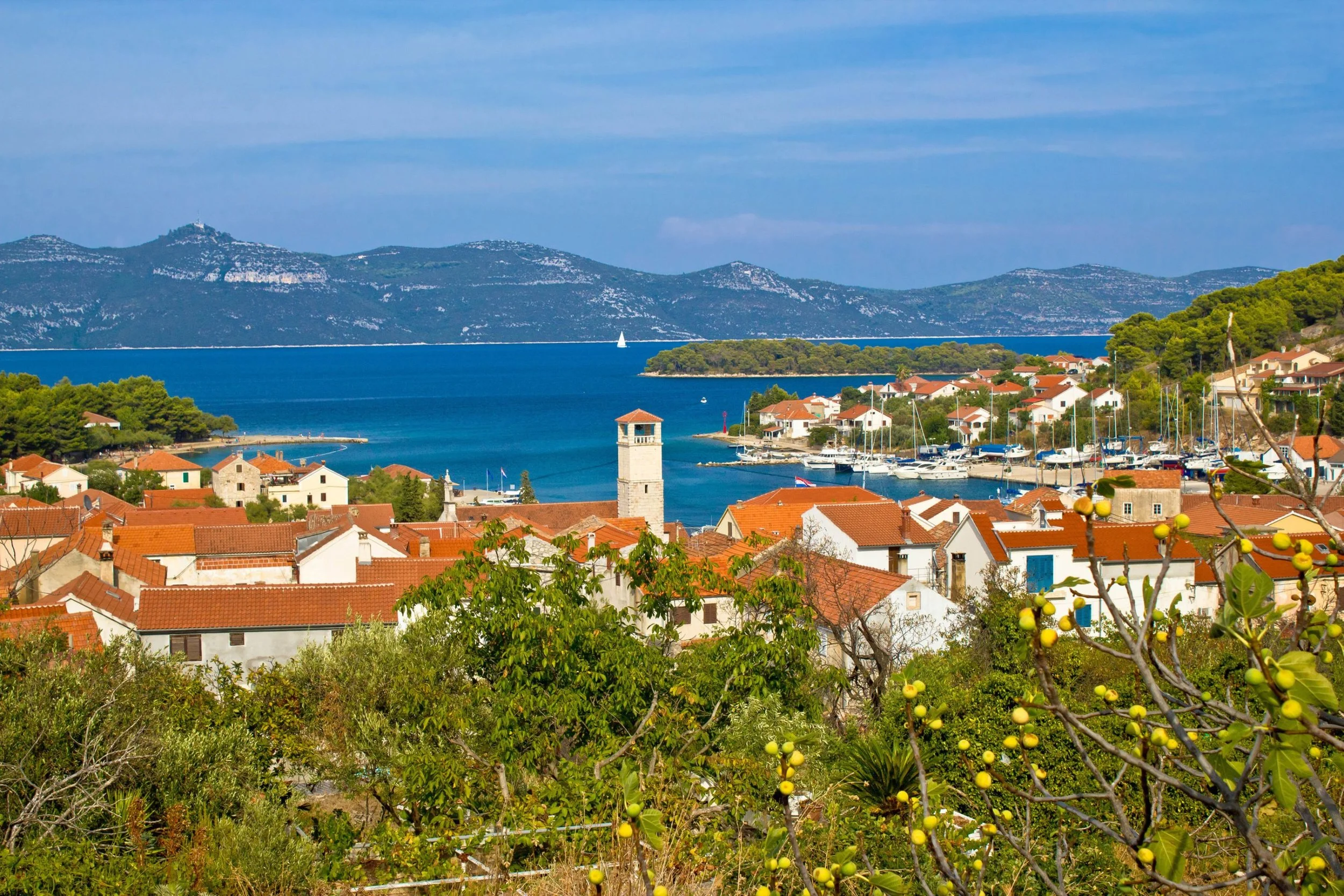 A coastal town with white and beige buildings with red-tiled roofs, a tower, a harbor with boats, green trees, and mountains across a body of water under a blue sky.