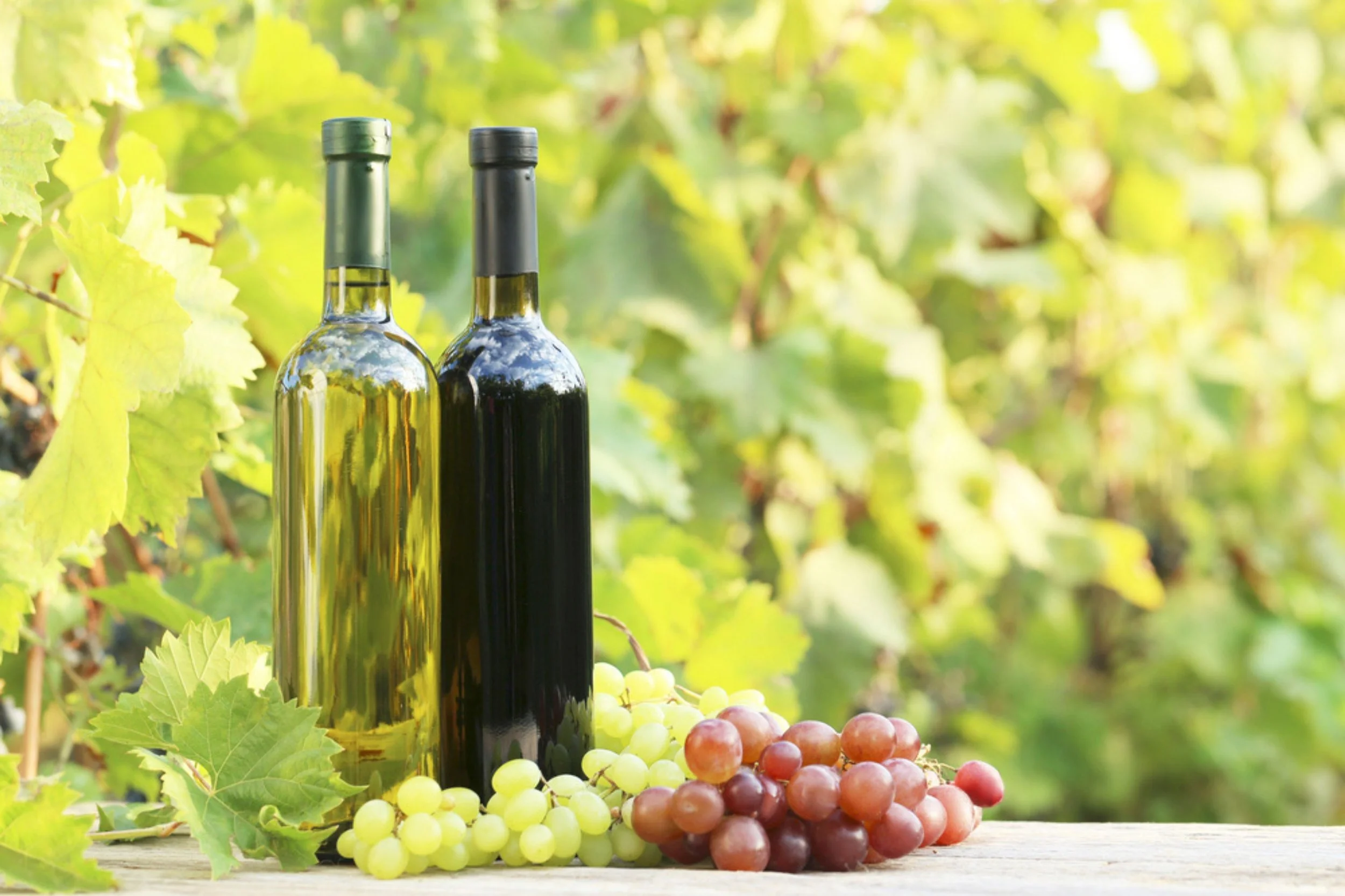 Two bottles of wine, one green and one dark, standing on a wooden surface surrounded by grape clusters and leafy vines in a vineyard.