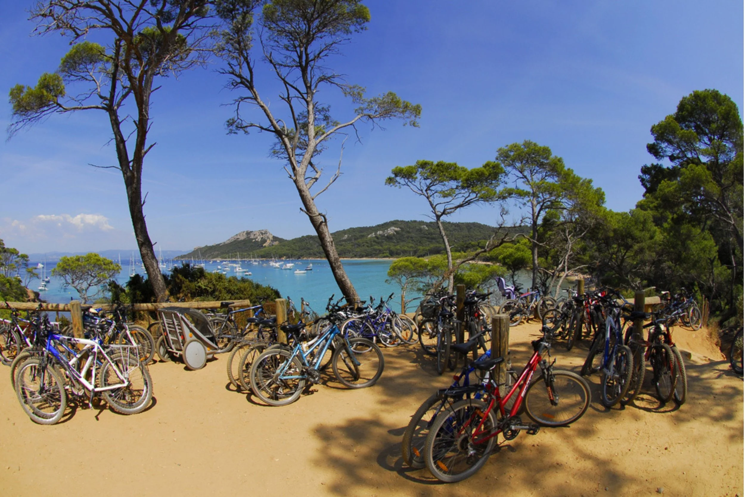 Bike rack with many bicycles near a coastal view of trees, water, and sailboats under a blue sky.
