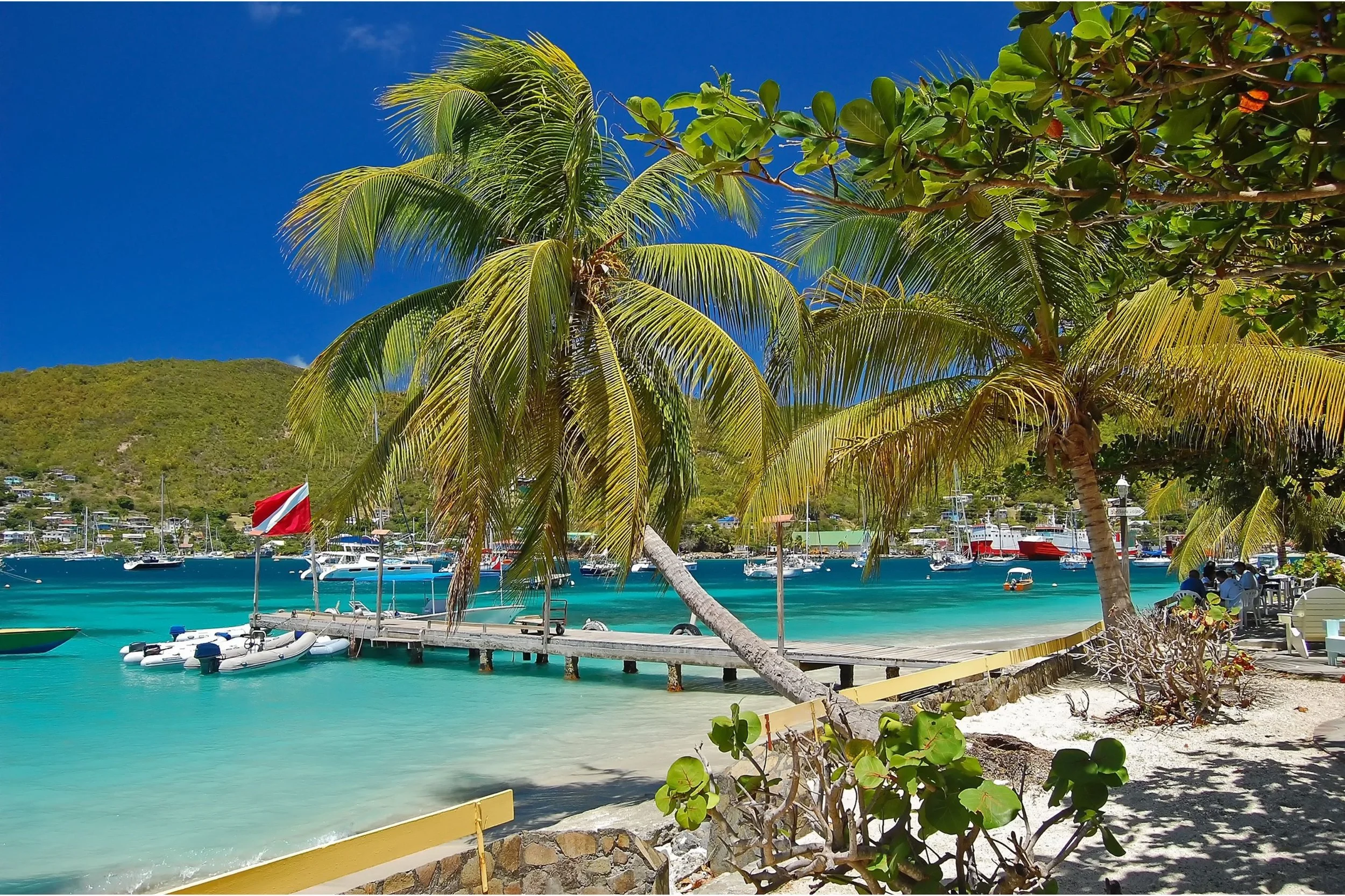 Tropical beach scene with palm trees, a wooden dock, boats in turquoise water, and a hillside in the background.