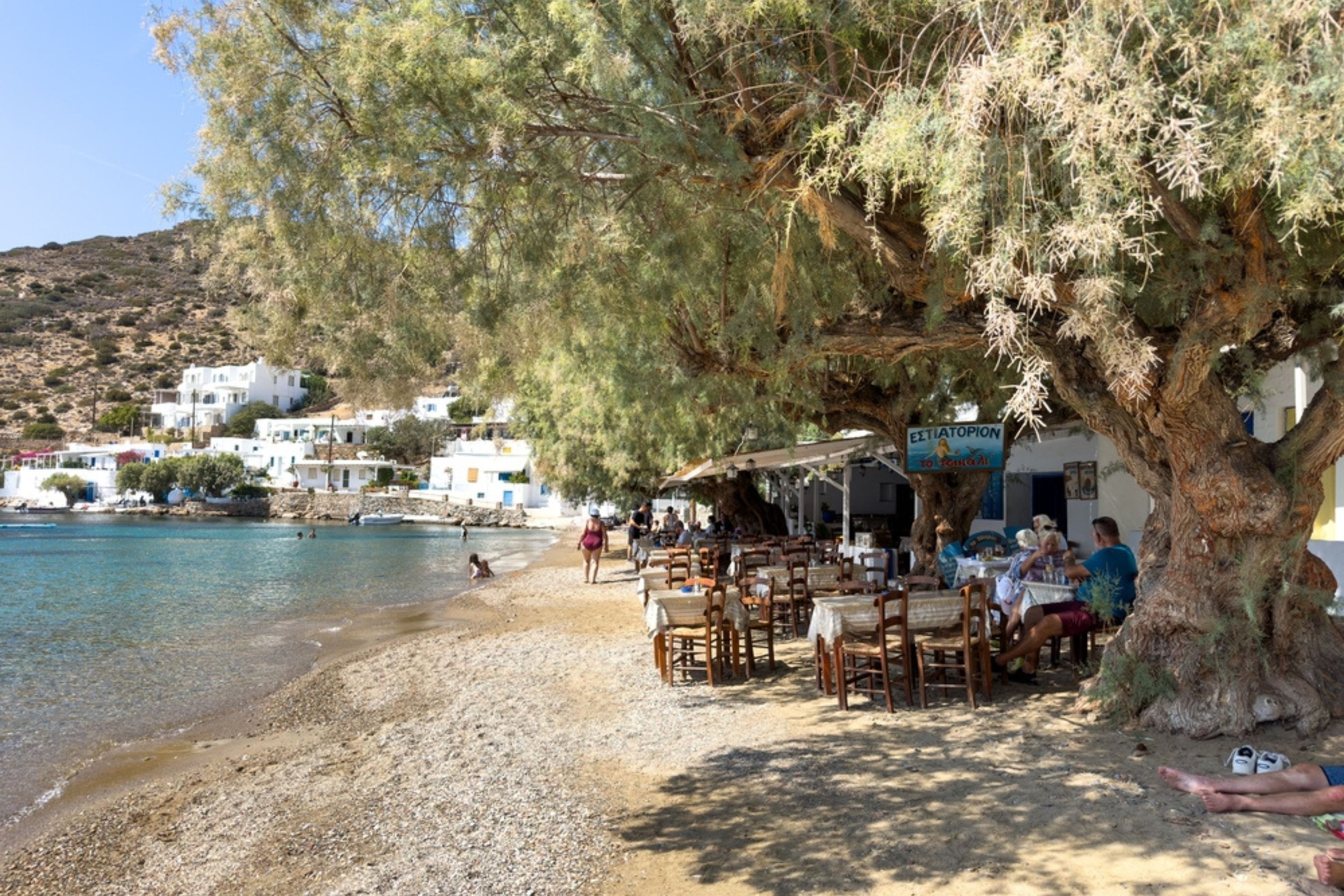 Beachside restaurant with tables and chairs shaded by a large tree, overlooking a calm cove with white buildings on a hillside.