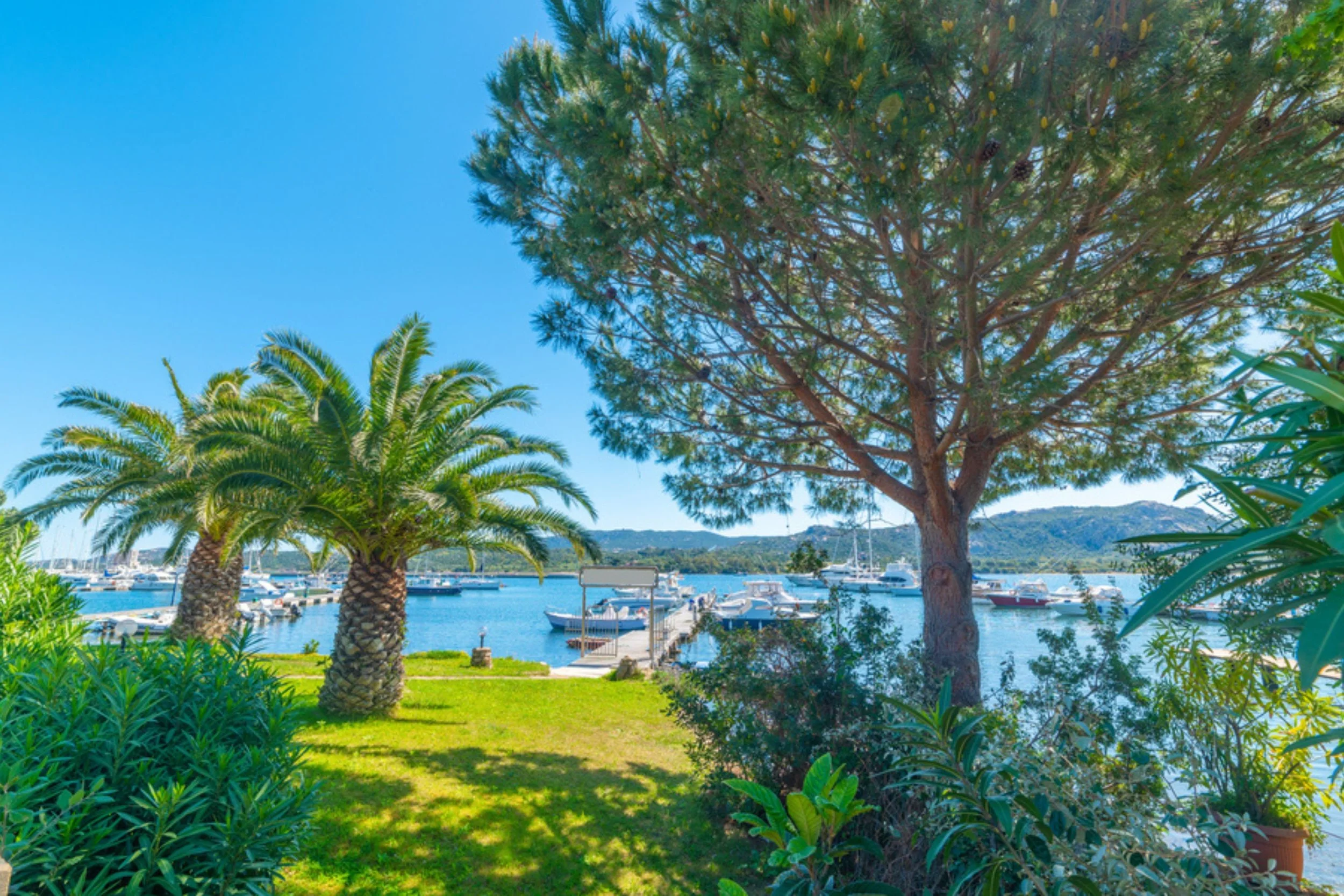 A scenic view of a marina with boats docked on a calm blue body of water, surrounded by lush green trees and palm trees, under a clear blue sky.