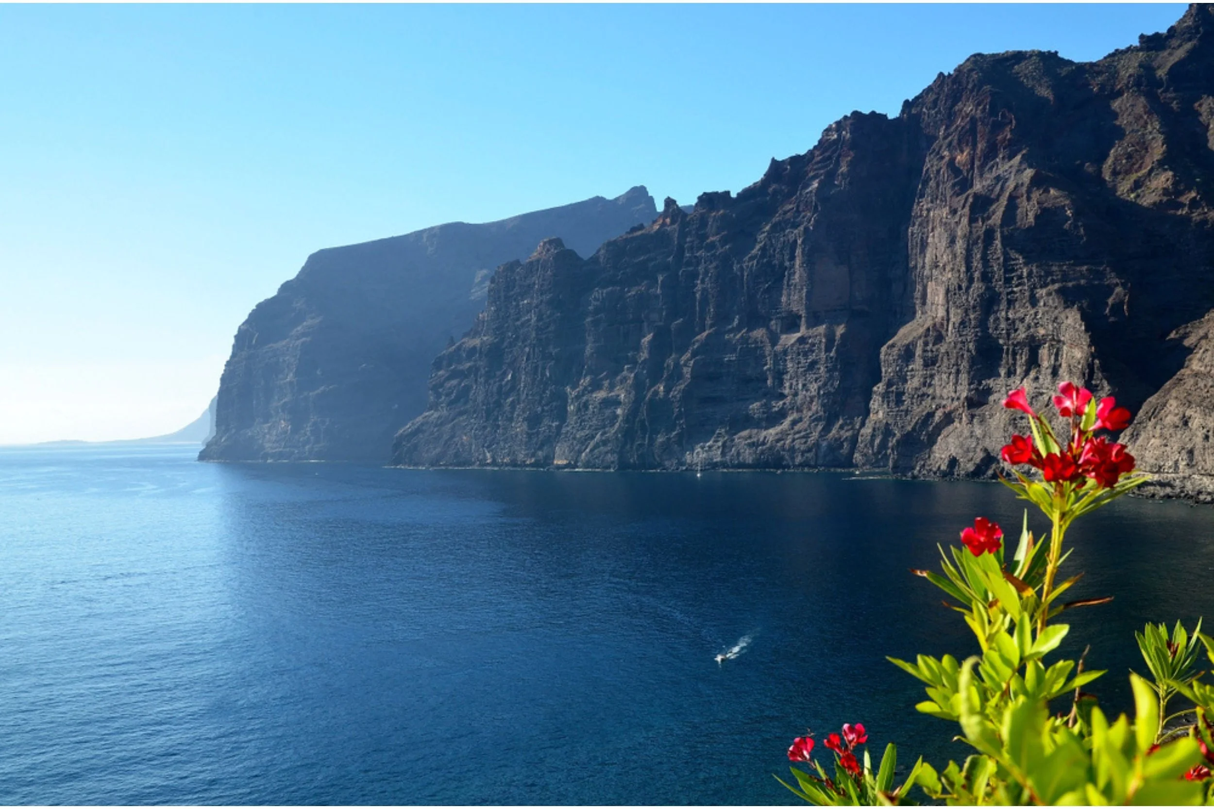 A coastal landscape with a large rocky cliff on the right side and calm blue water in the foreground. Bright pink flowers with green leaves are in the lower right corner.