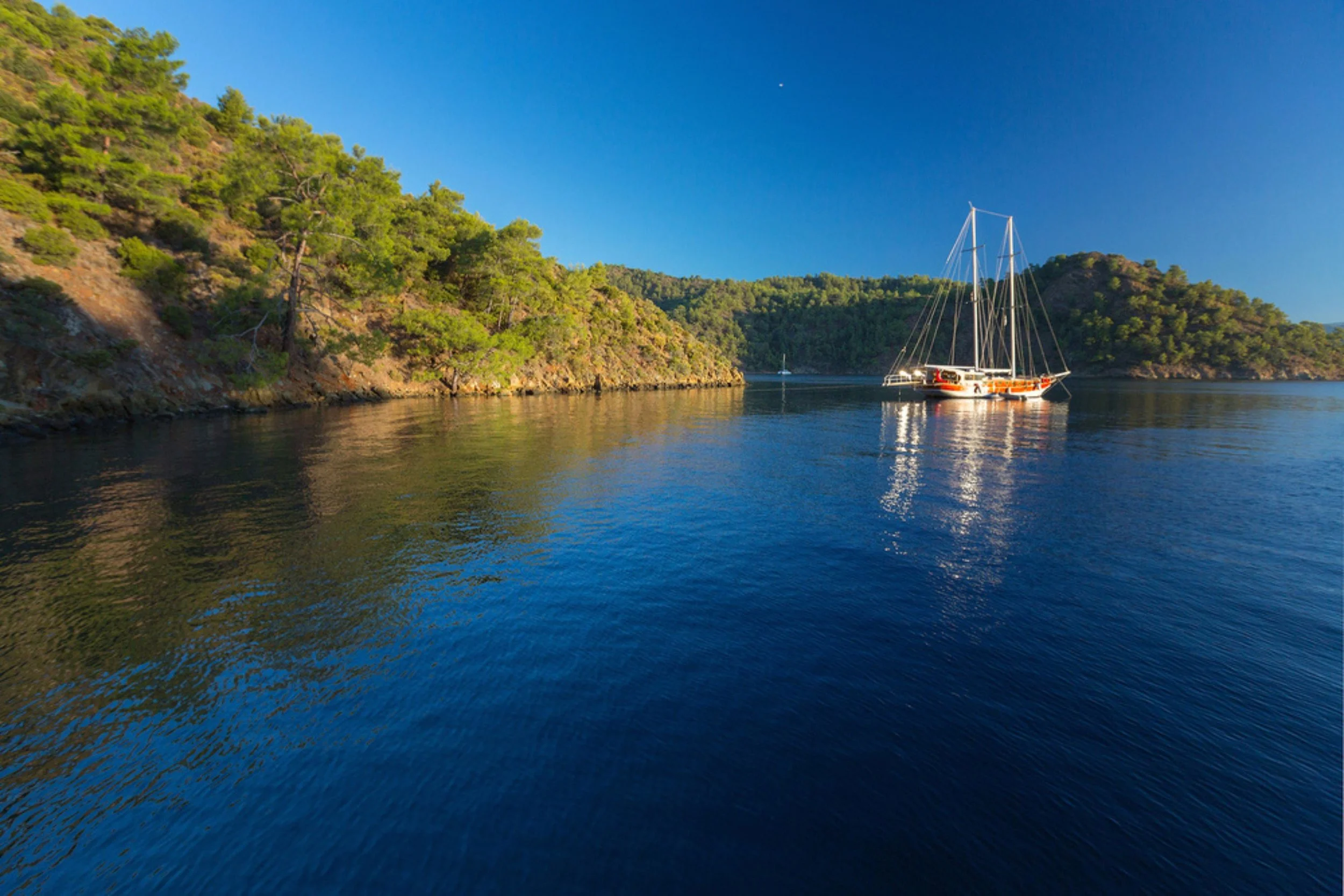 A sailboat floating on calm blue water near a forested shoreline under a clear blue sky.