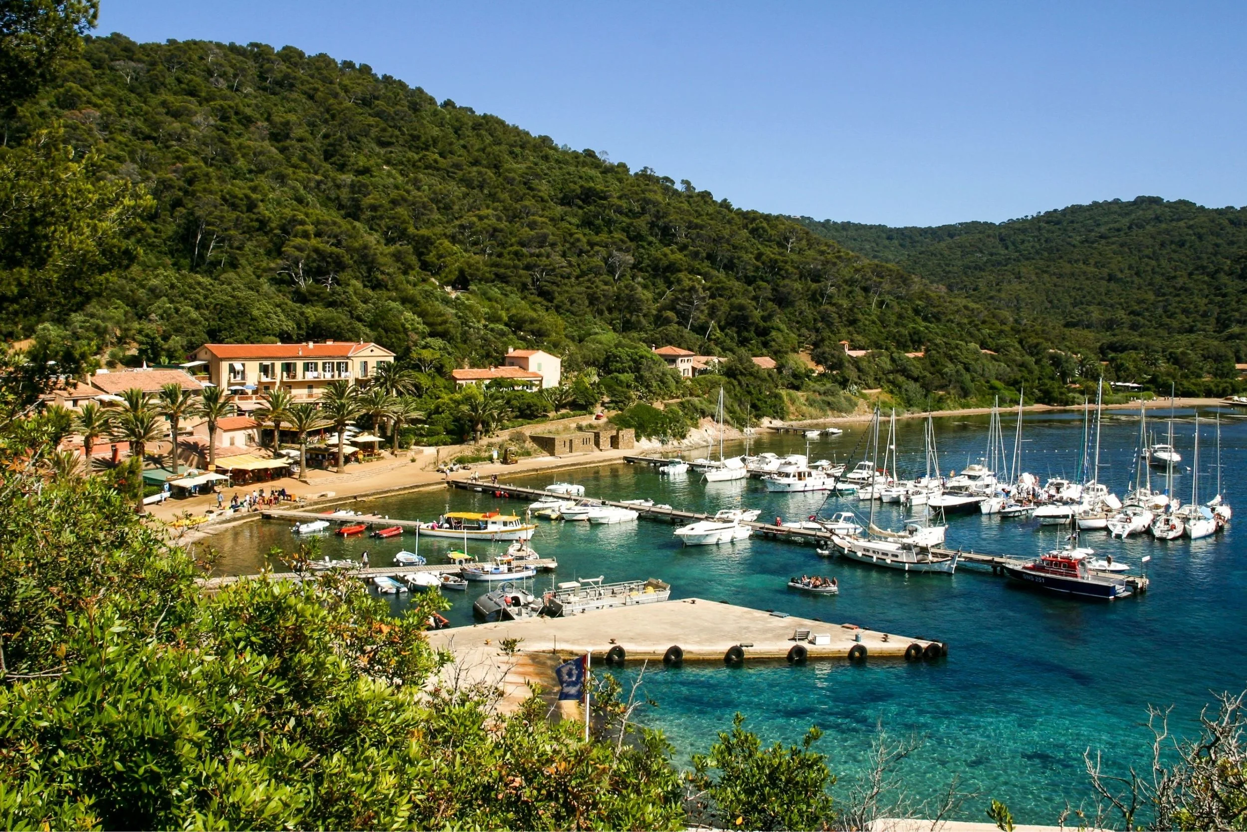 A scenic view of a marina with numerous sailboats and yachts docked, surrounded by lush green hills and buildings near the shoreline under a clear blue sky.