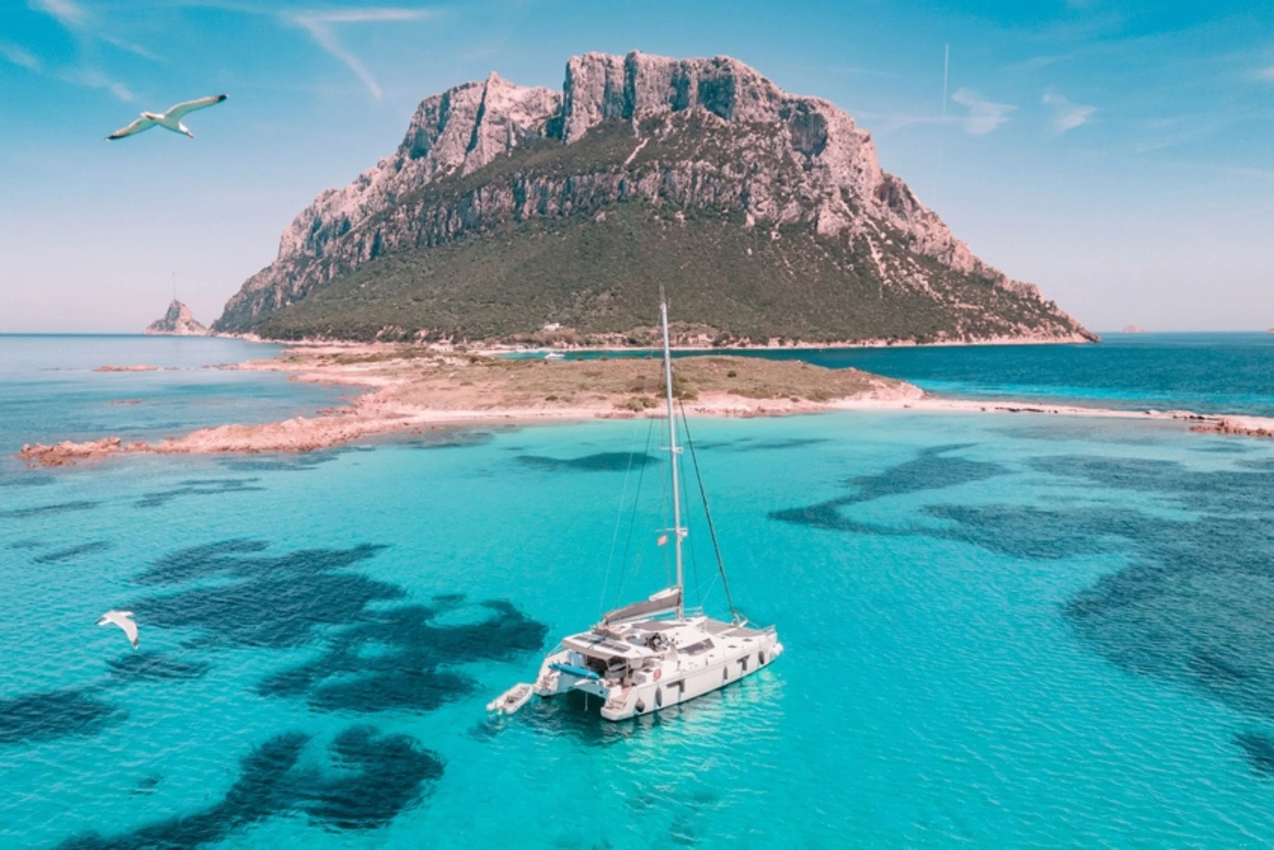 A sailboat floating in a turquoise bay with a large rocky mountain in the background and seagulls flying overhead.