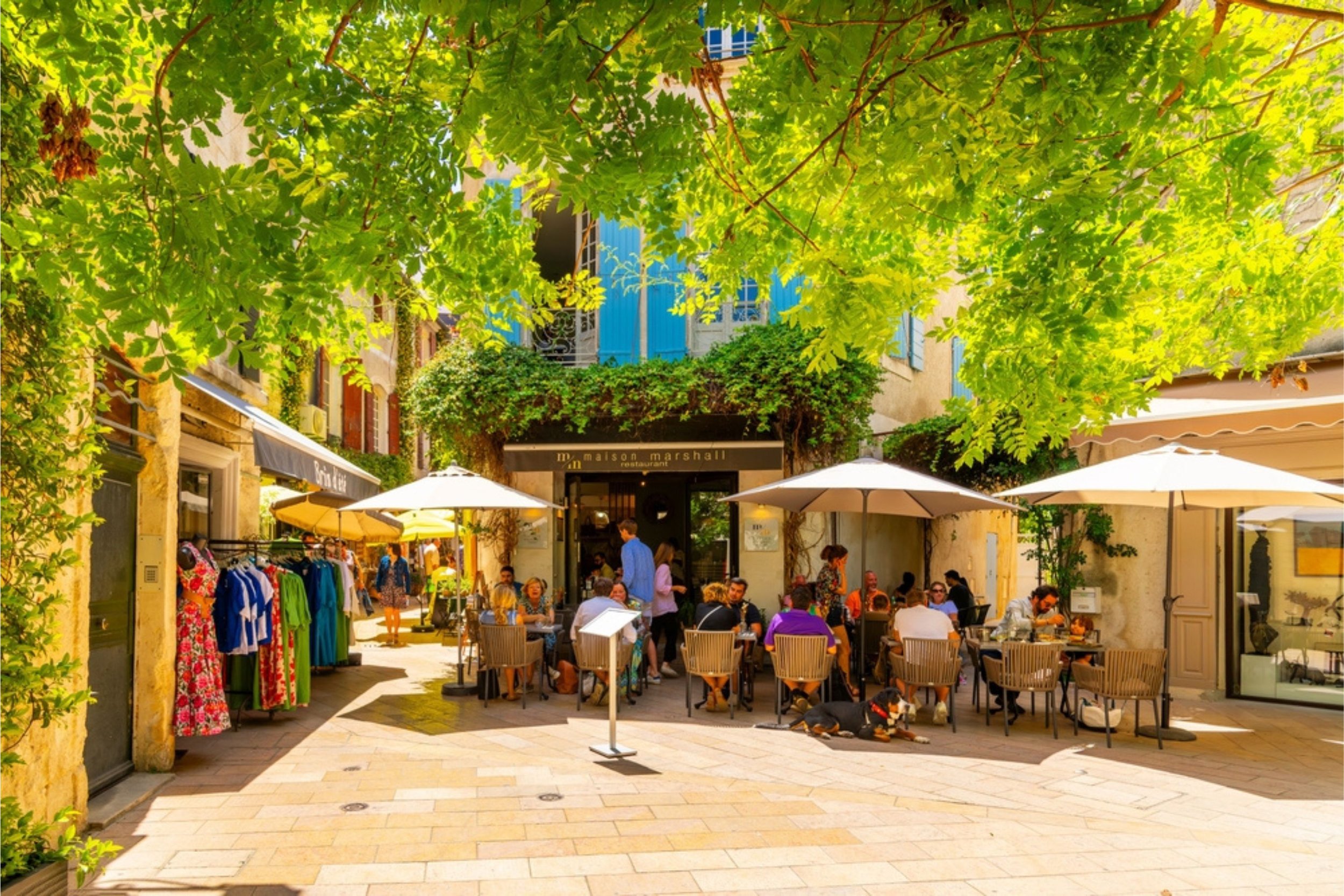 An outdoor cafe scene with people sitting at tables under large umbrellas. There are trees and greenery overhead, and a building with blue shutters in the background.
