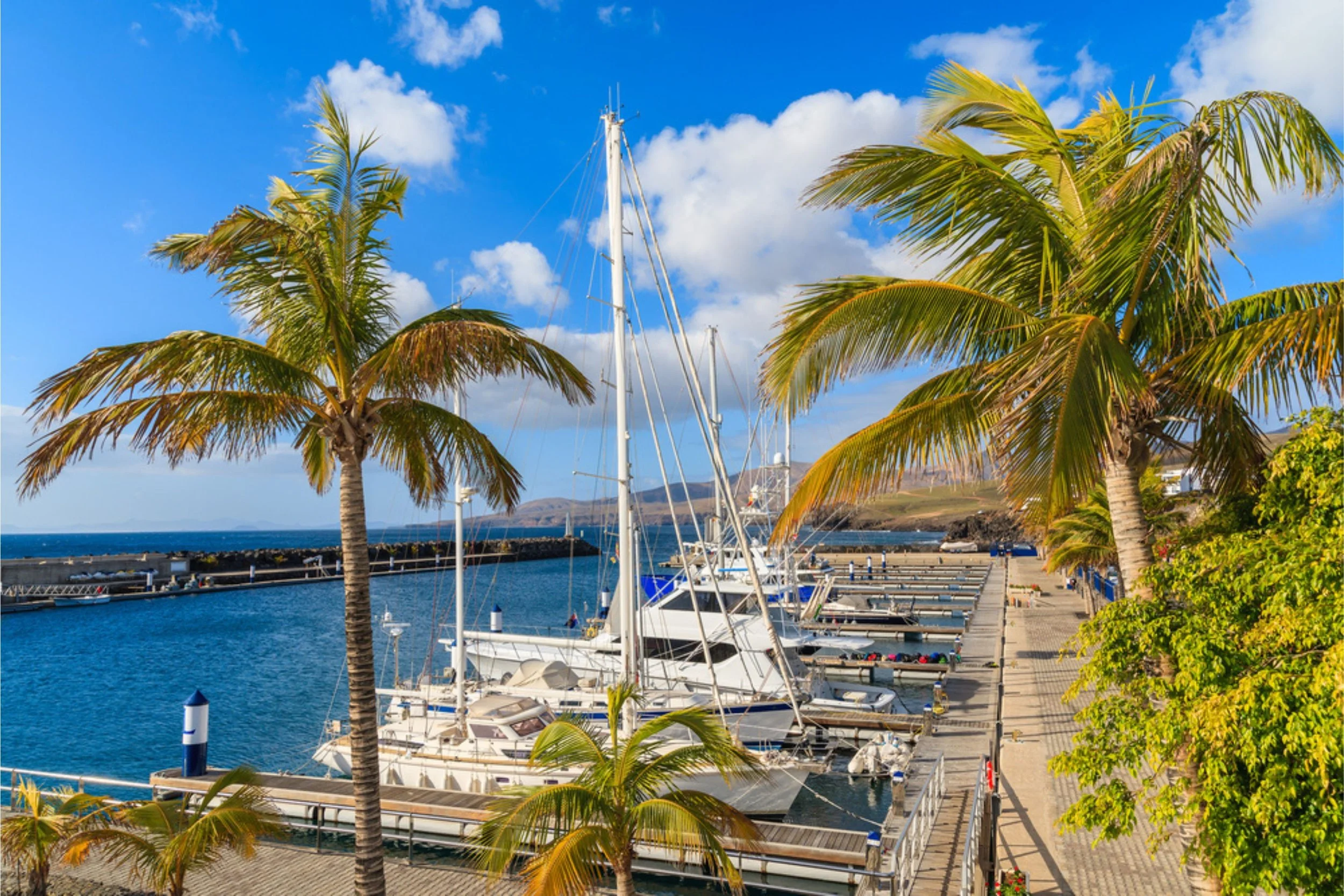 Marina with sailboats docked, tall palm trees, wooden pier, blue sky with scattered clouds, hilly landscape in the background.