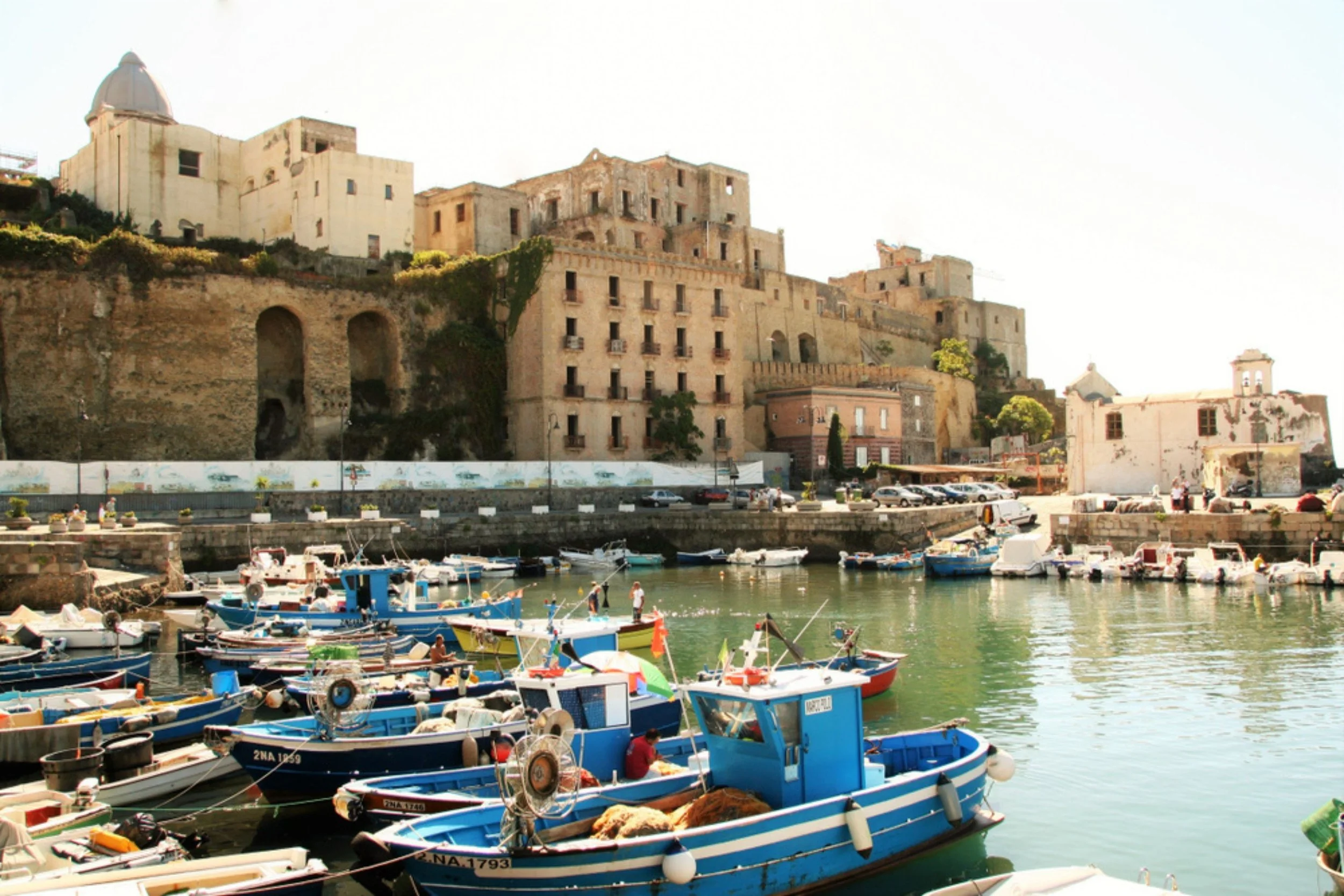 A harbor with many small boats docked along the waterfront, and a historic hillside town with old stone buildings in the background.