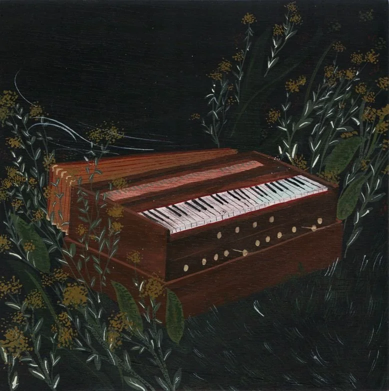 Harmonium for Beginners: A Complete Guide to Getting Started