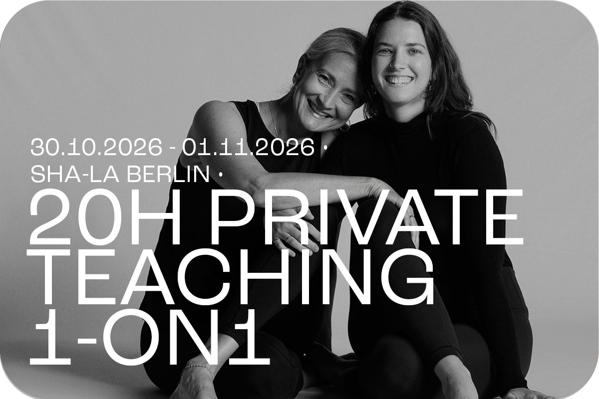 20H TEACHING PRIVAT 1ON1.png