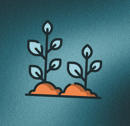 Illustration of two small plants with leaves and buds, growing in soil.