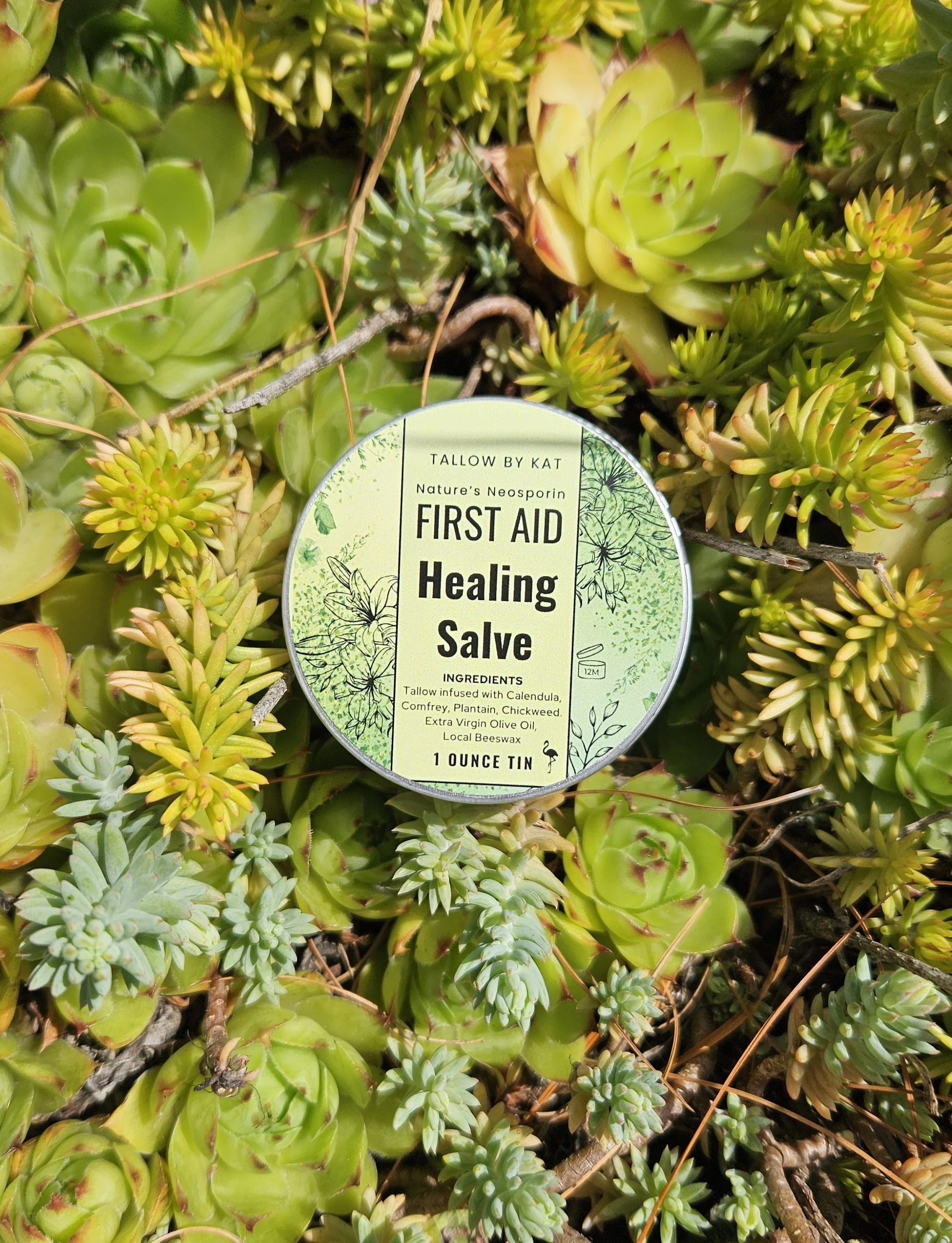 Healing Salve- Nature's Neosporin