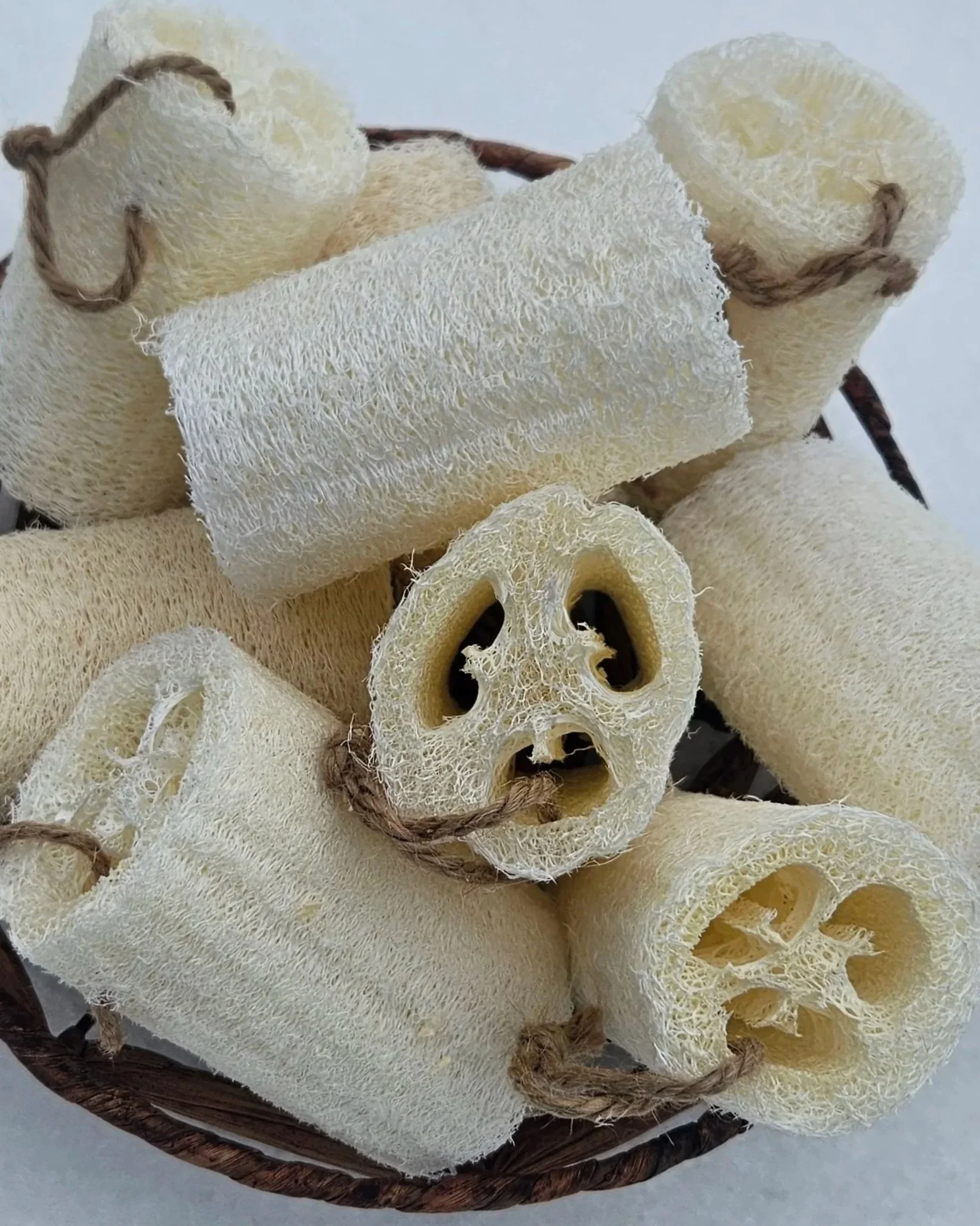 Natural Luffa Sponge