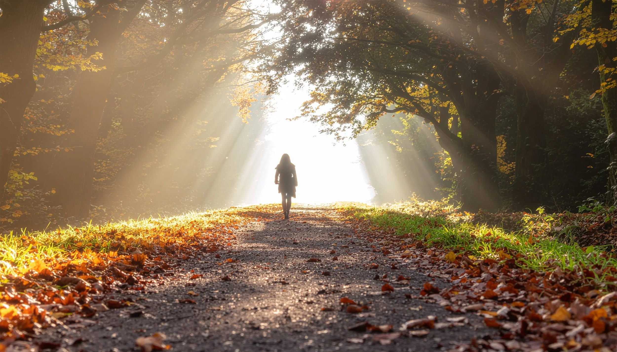 Mês 9: como a energia da conclusão melhora decisões.