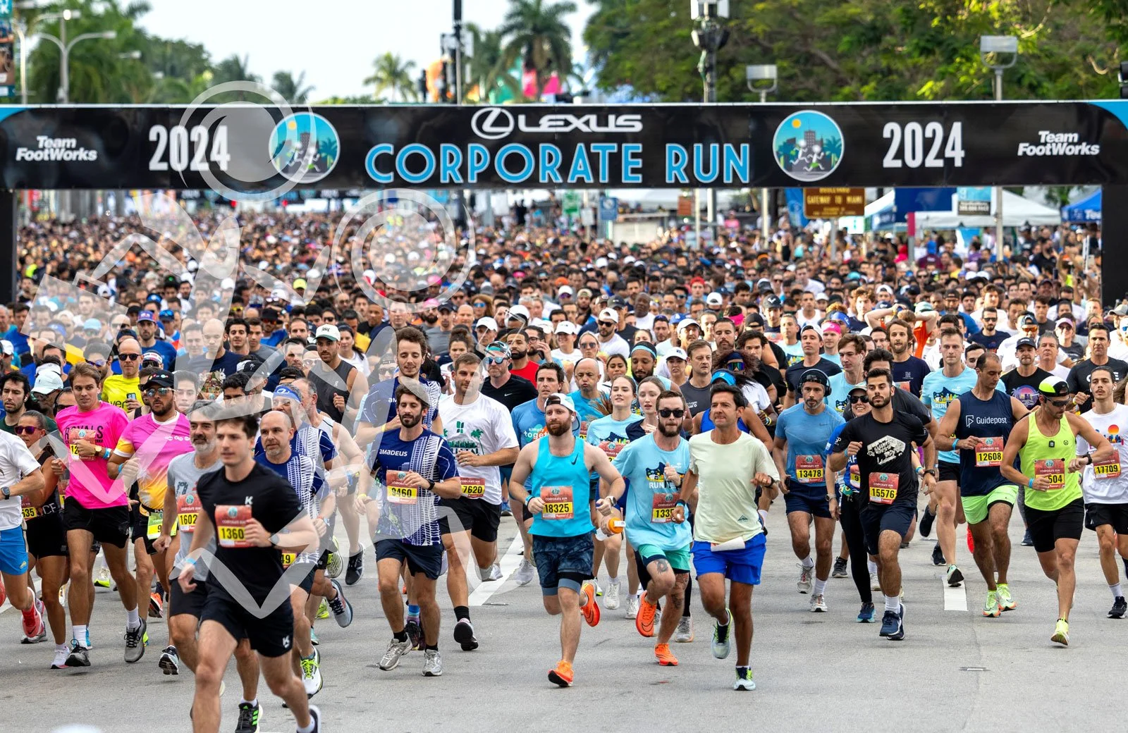 Lexus Corporate Run 2026