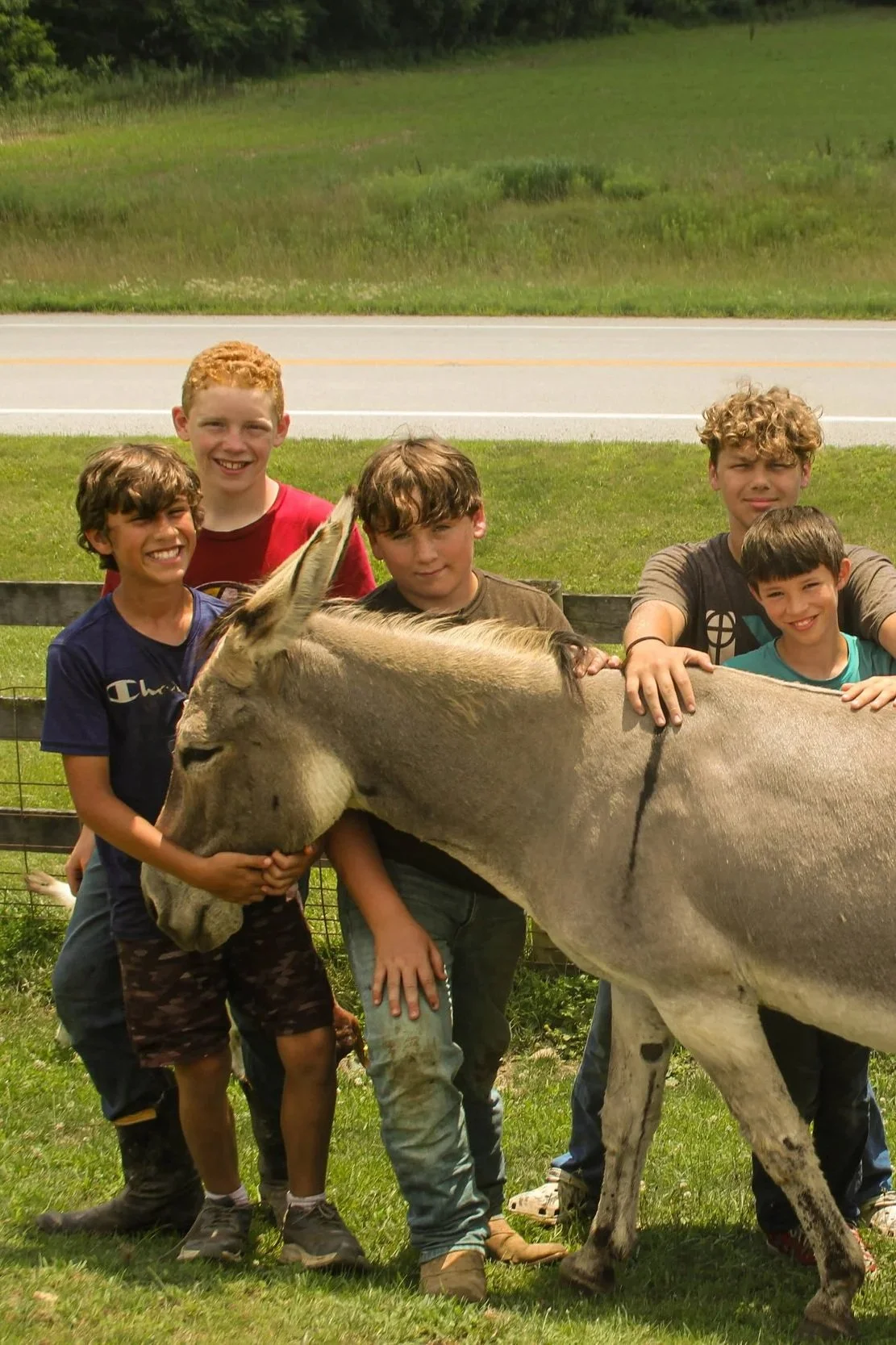 boys standing with a donkey