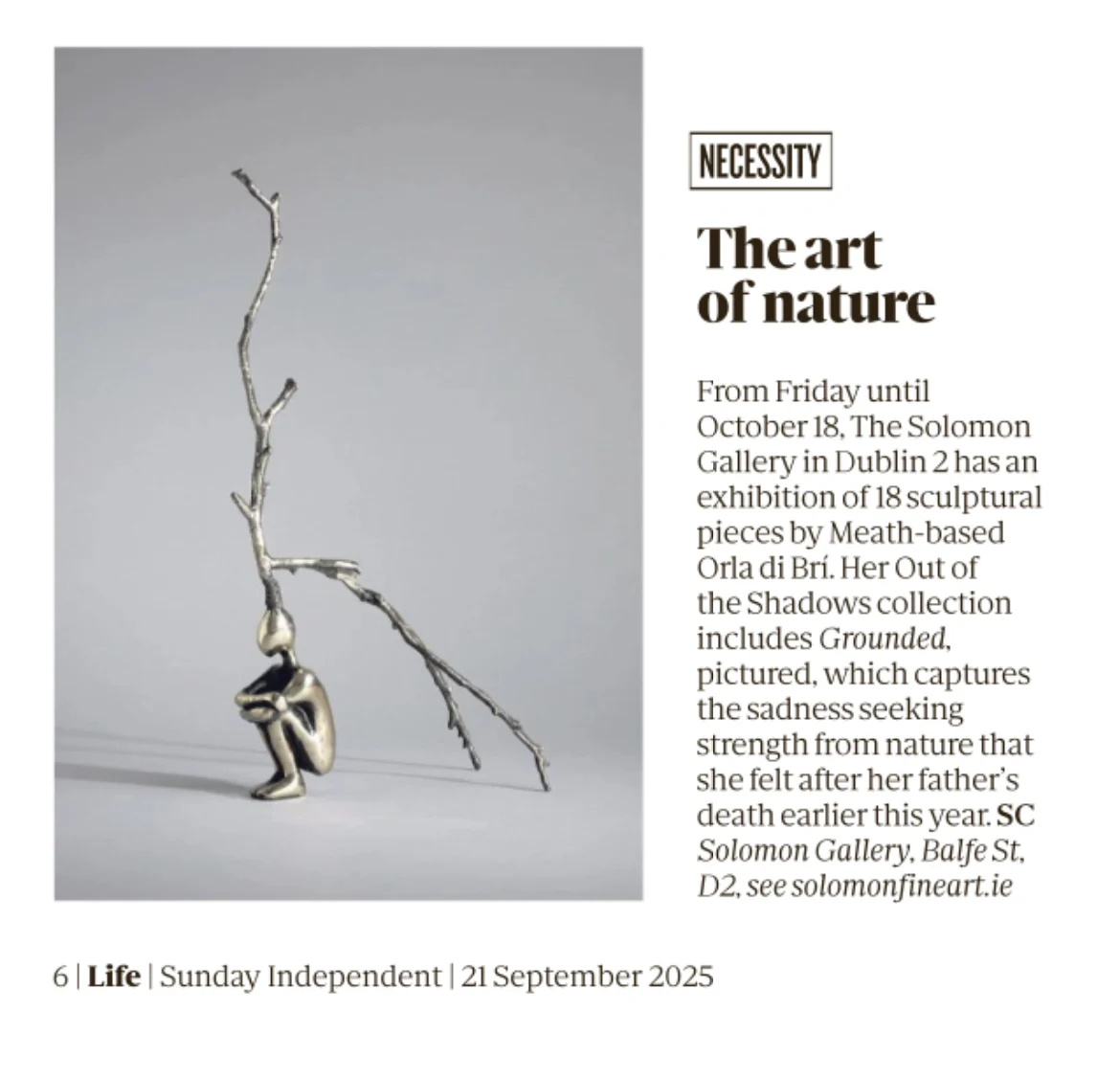 SUNDAY INDEPENDENT 2025