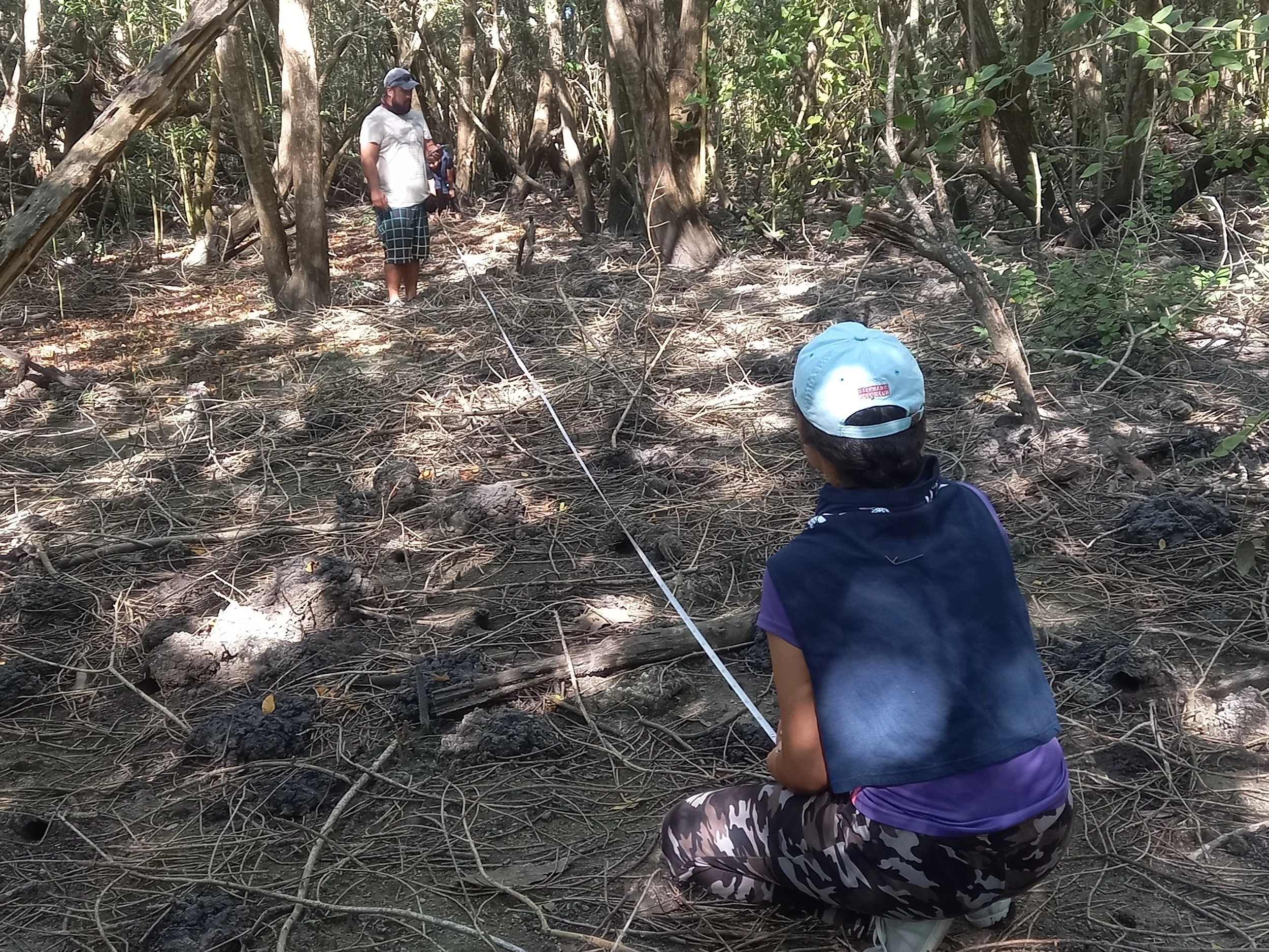 Impacto ambiental y tramites