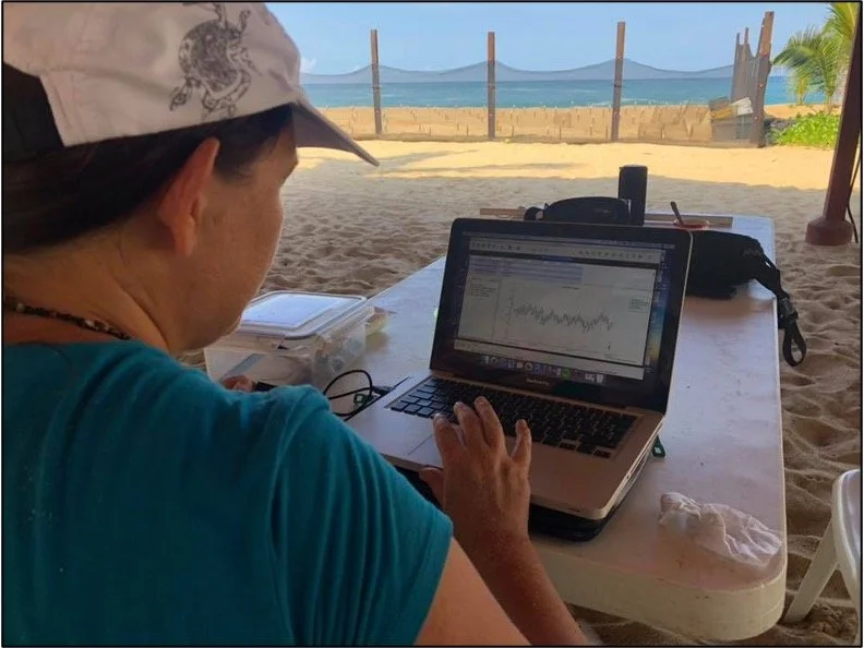 Persona trabajando en una computadora portátil en la playa, con vista al mar y palmeras a lo lejos.