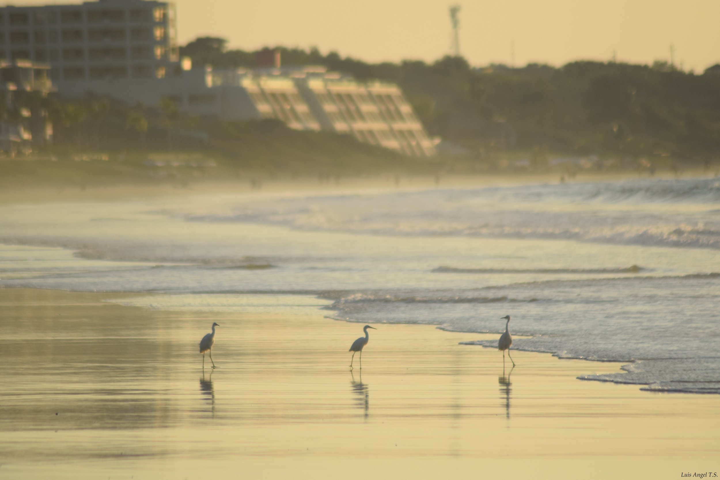 Gestion ambiental para el sector turístico