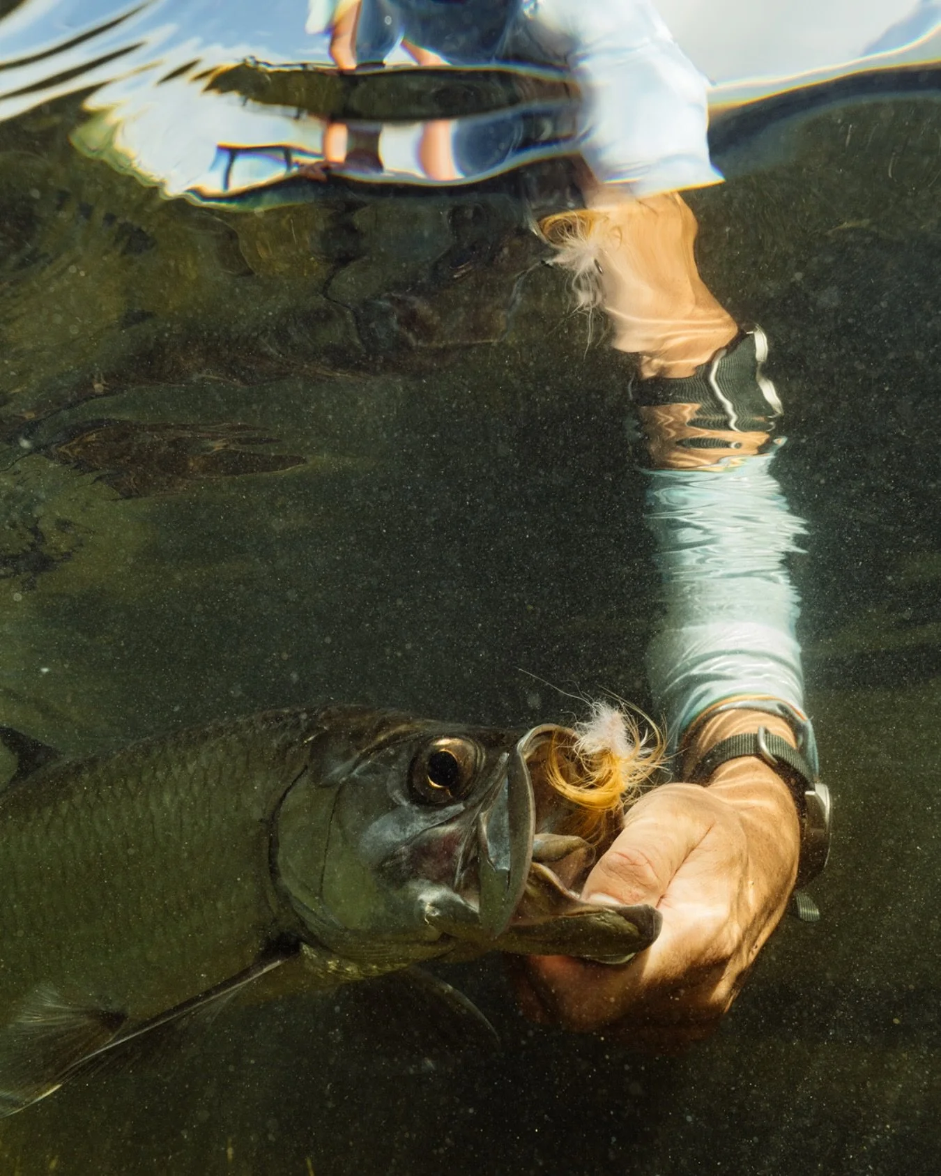 Some love for the little guys!

Fall is right around the corner, which means opportunities to target Tarpon, Reds, Snook, Bonefish, Permit and more.

Gimme a call if you&rsquo;re looking to fish! (305) 393-0271

📸 @marshwearclothing