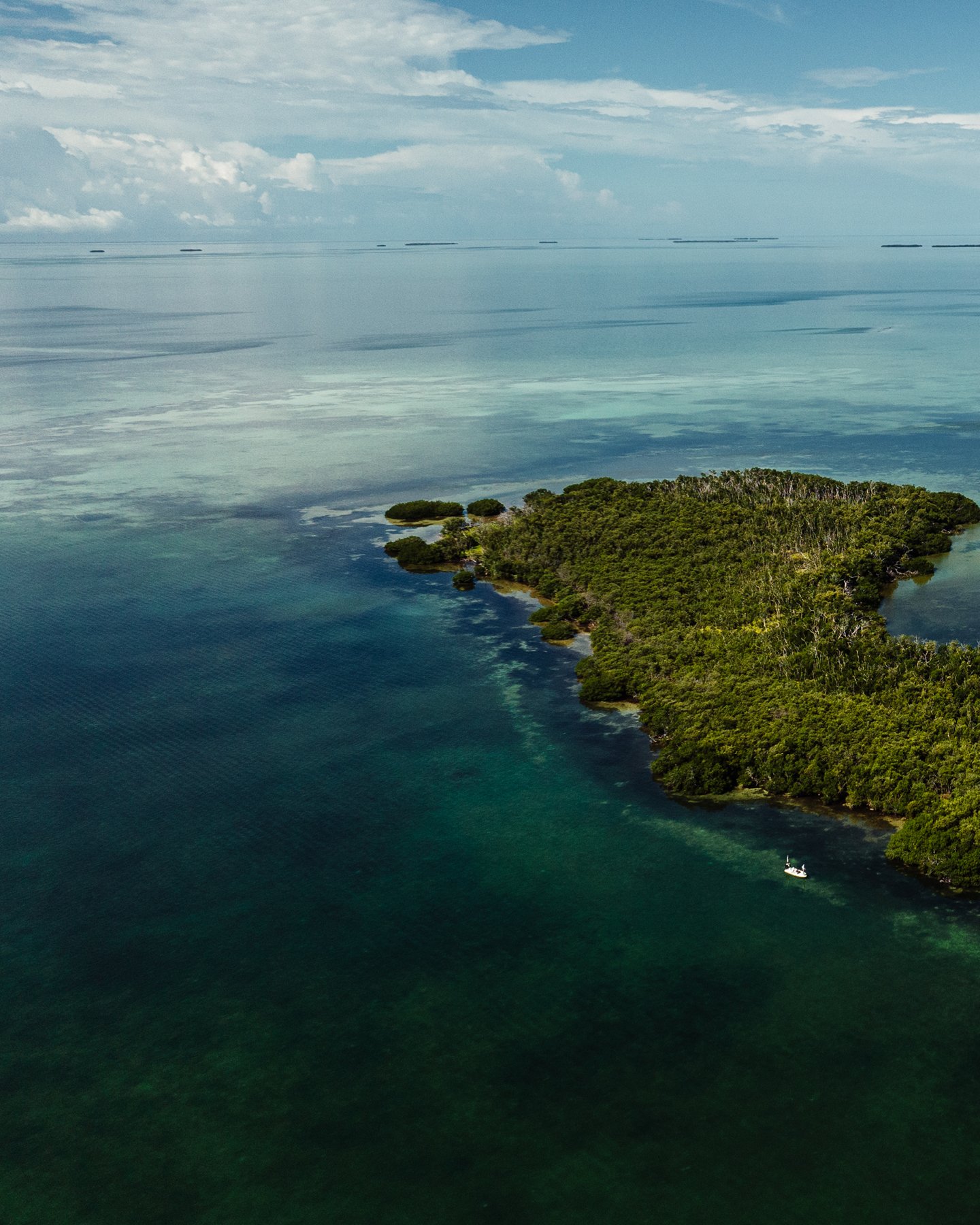 Osprey vision 😎

Call to book!
(305) 393-0271
CaptCraigBrewer.com