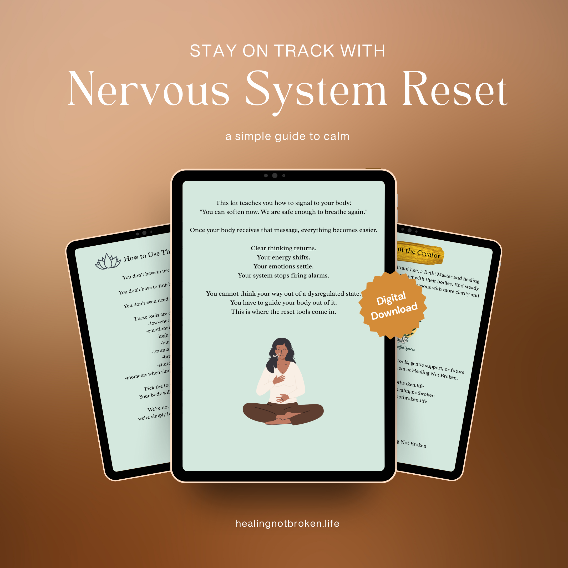 nervous system reset mockup 2.png