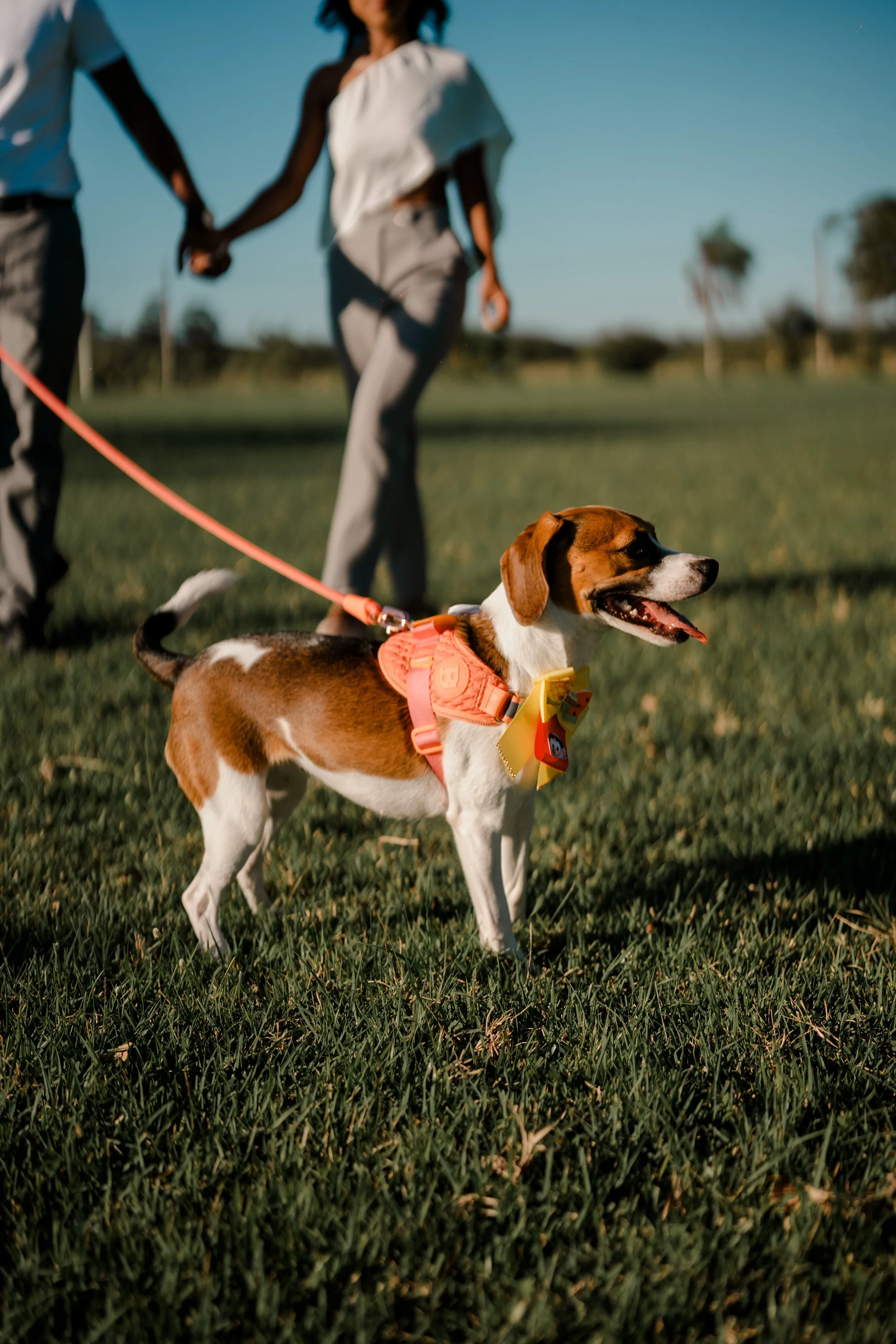 EnsaioPreWeddingJeR-39.jpg
