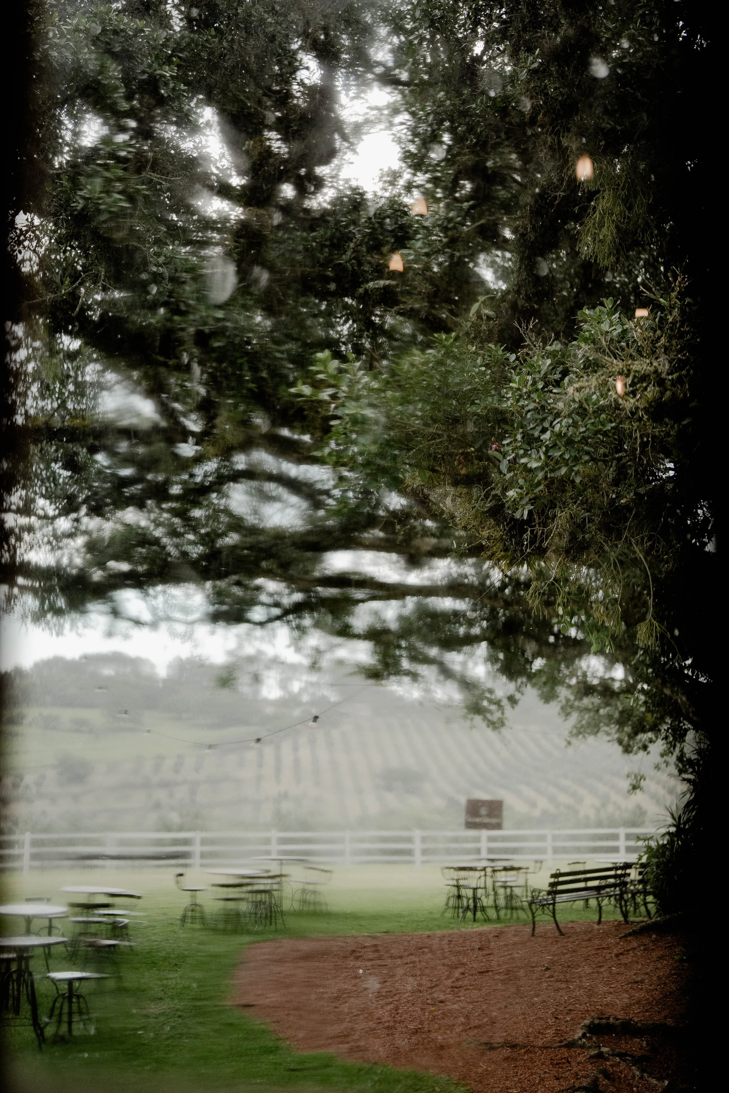 PreWeddingLauraEMatheus-47.jpg
