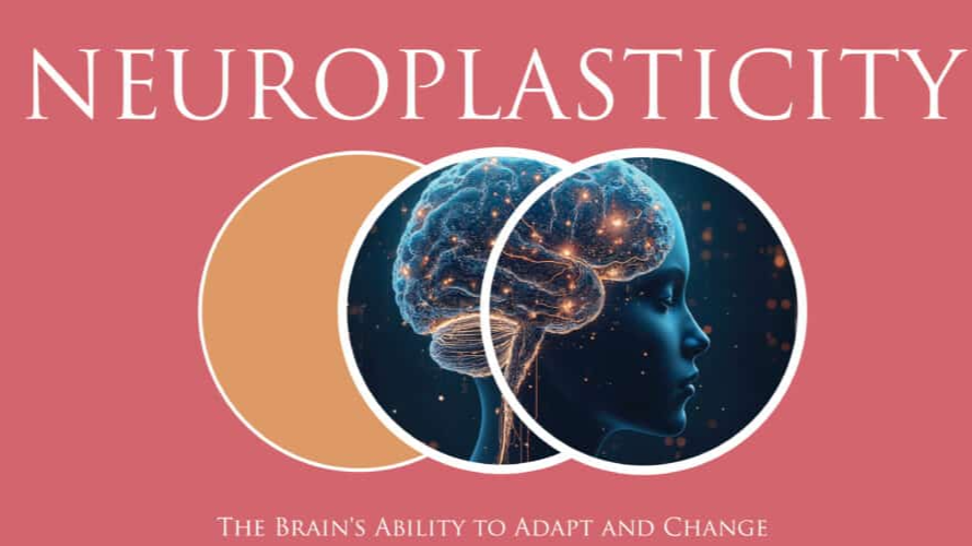 Is Mental Health Medication Addictive? Understanding “Dependency,” Neuroplasticity &amp; How Treatment Works 