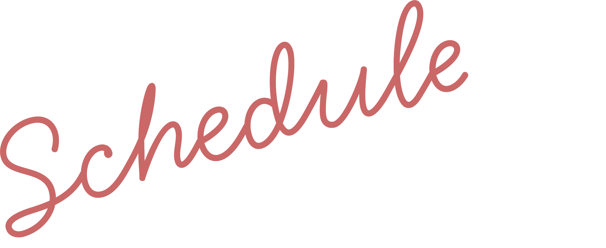 A graphic design featuring the words 'Schedule' in cursive maroon, and 'Free Consultation' in a plain white font.