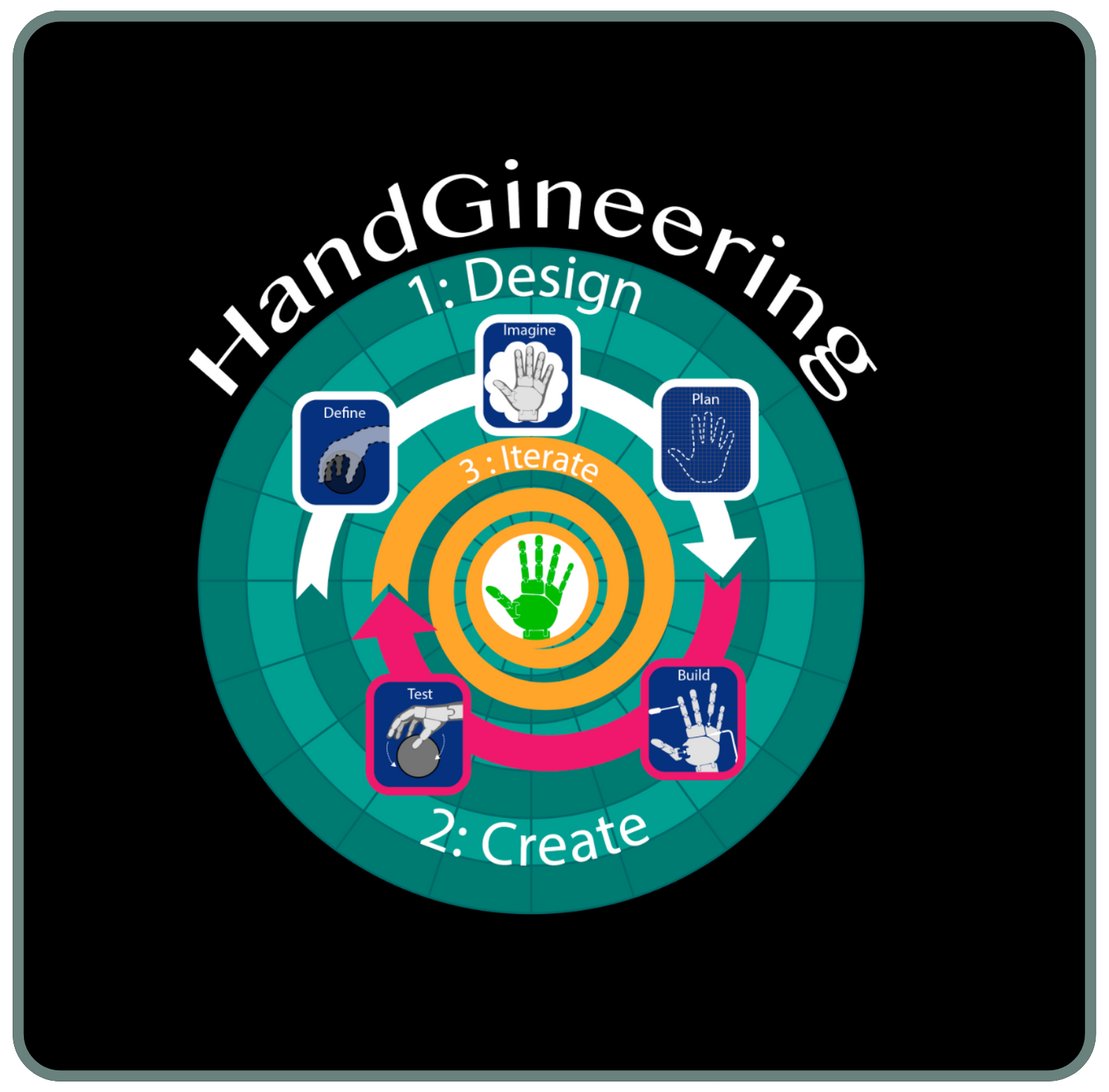 Bioengineering Curriculum