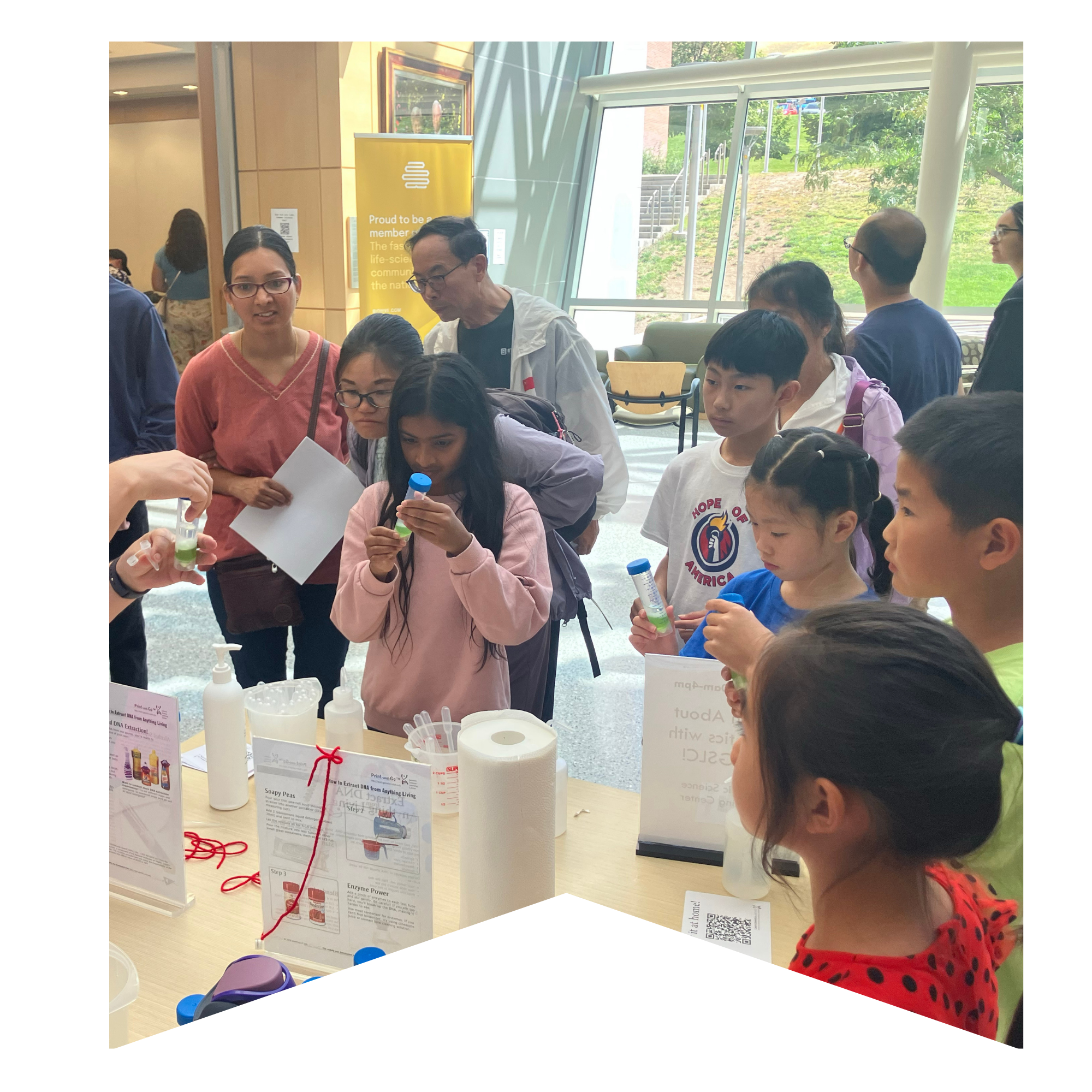 A group children extracting DNA from peas as their parents watch