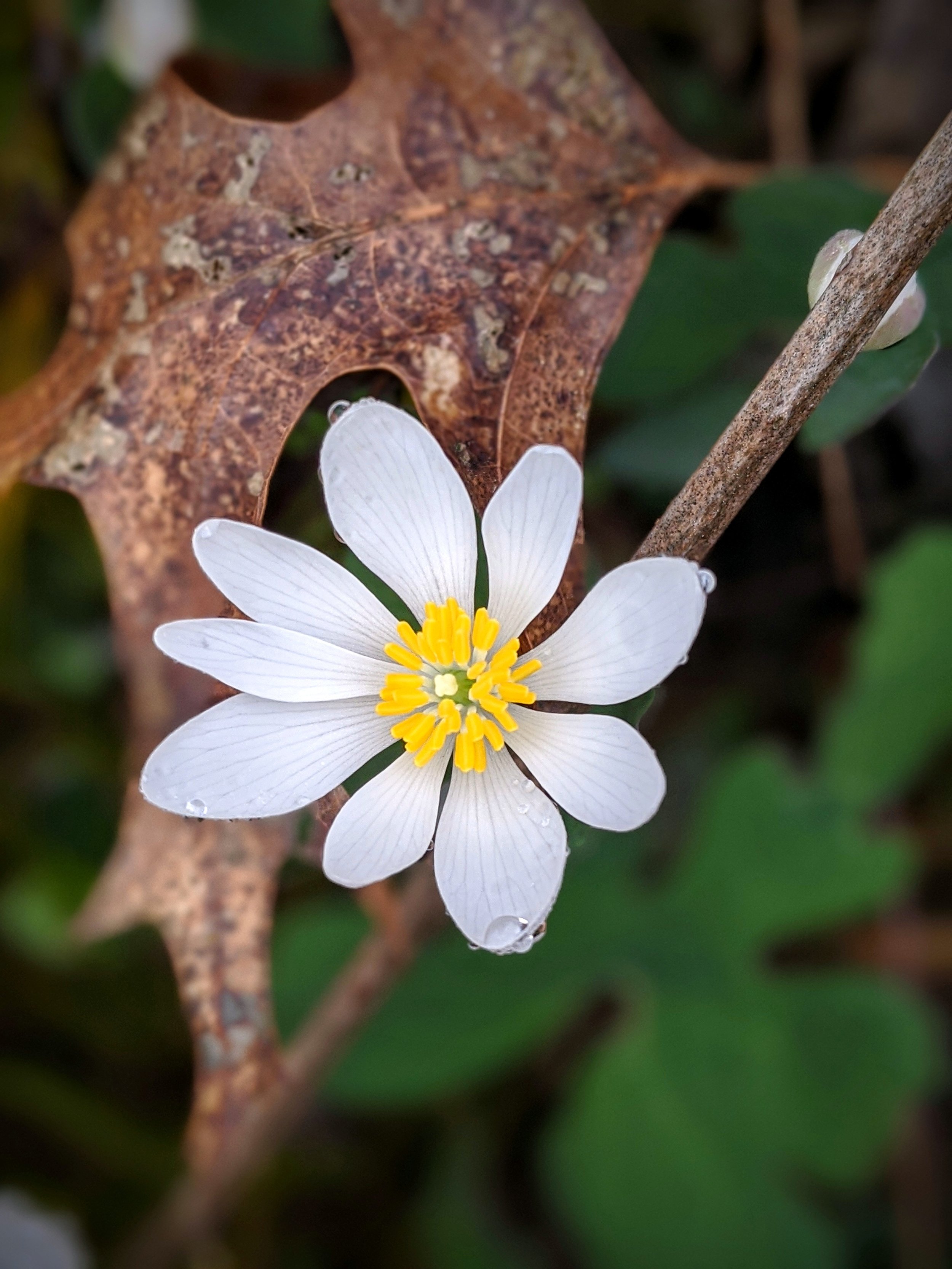 Endorsements of Anne's work - Photo by Anne Heck