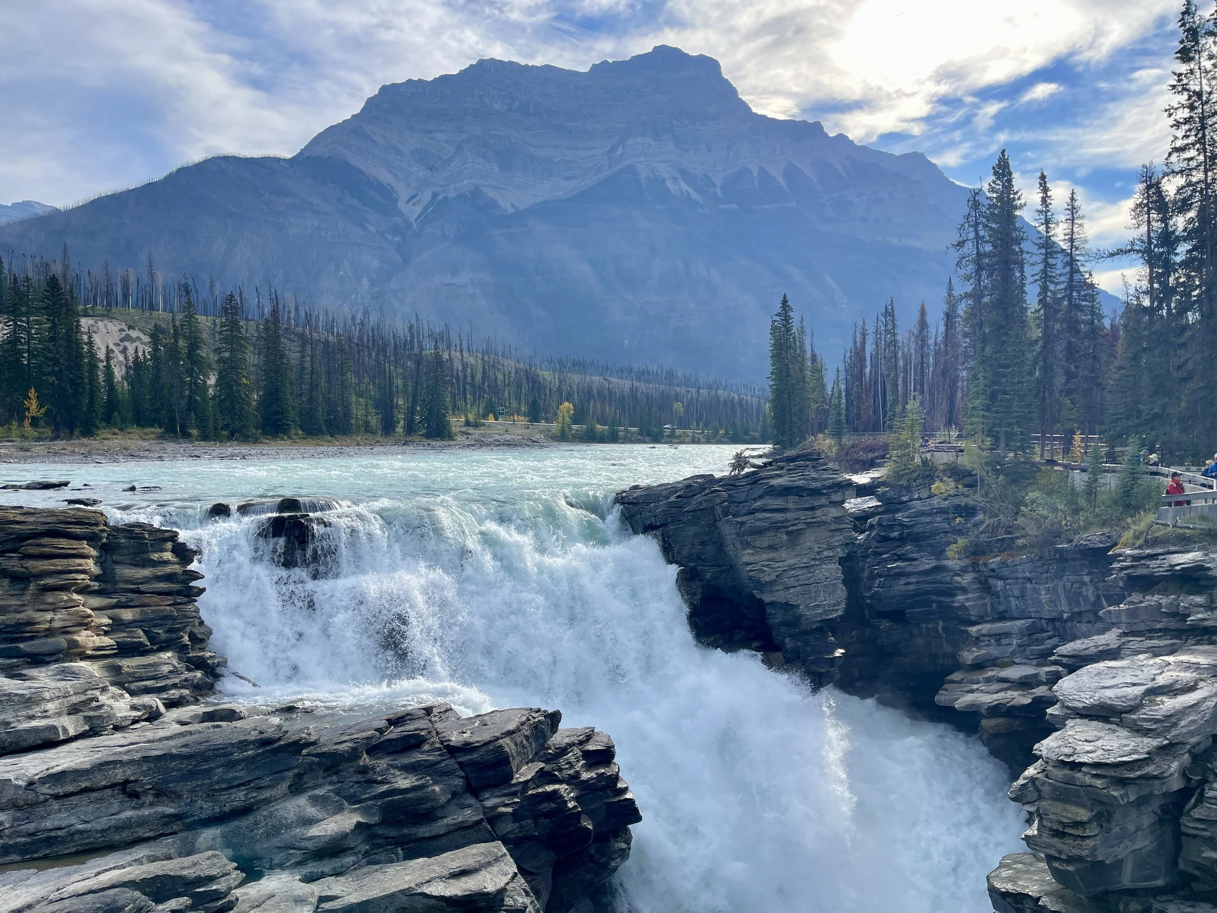 Athabasca Falls on the way out of Jasper