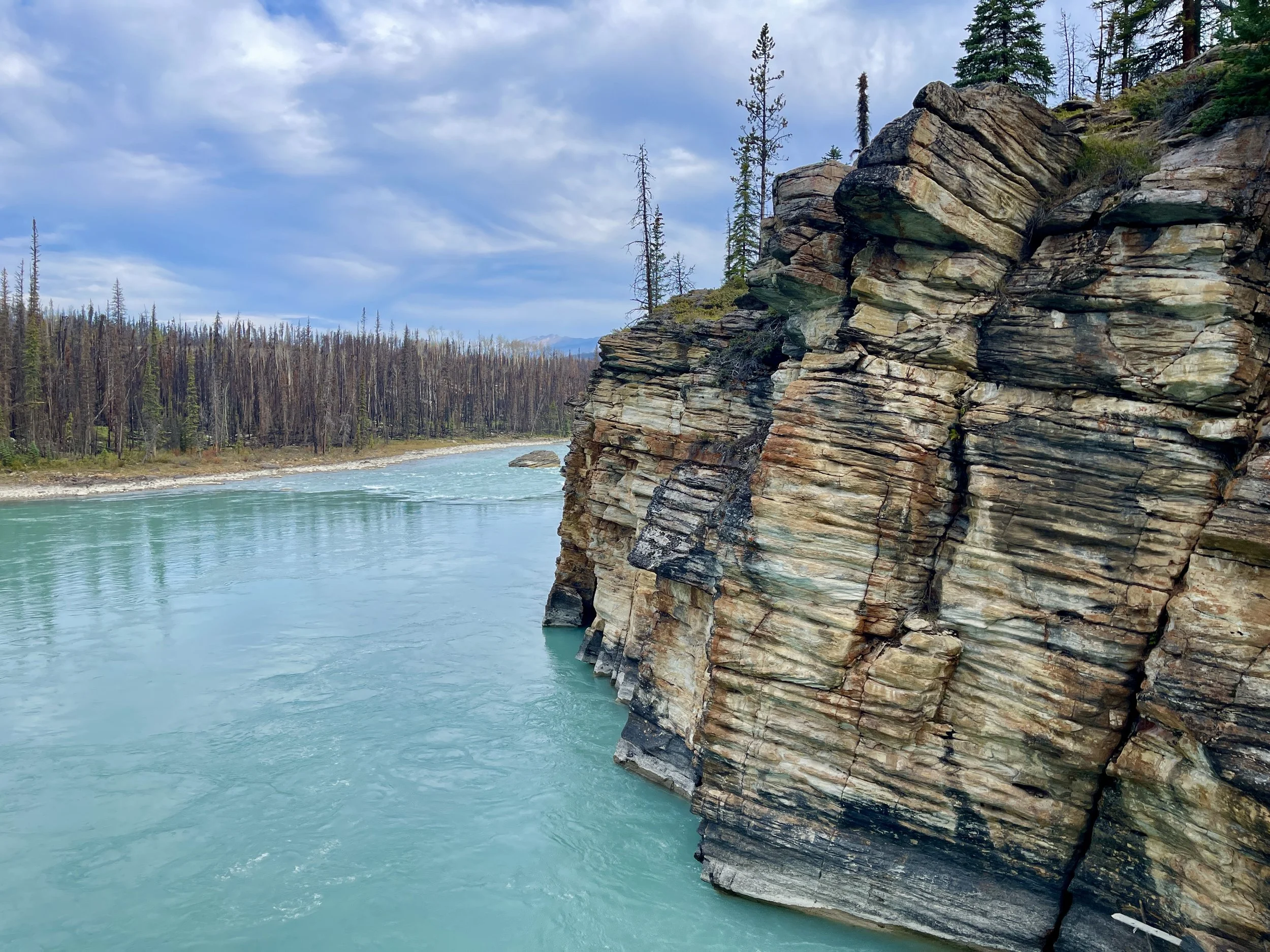 Athabasca River on the way out of Jasper