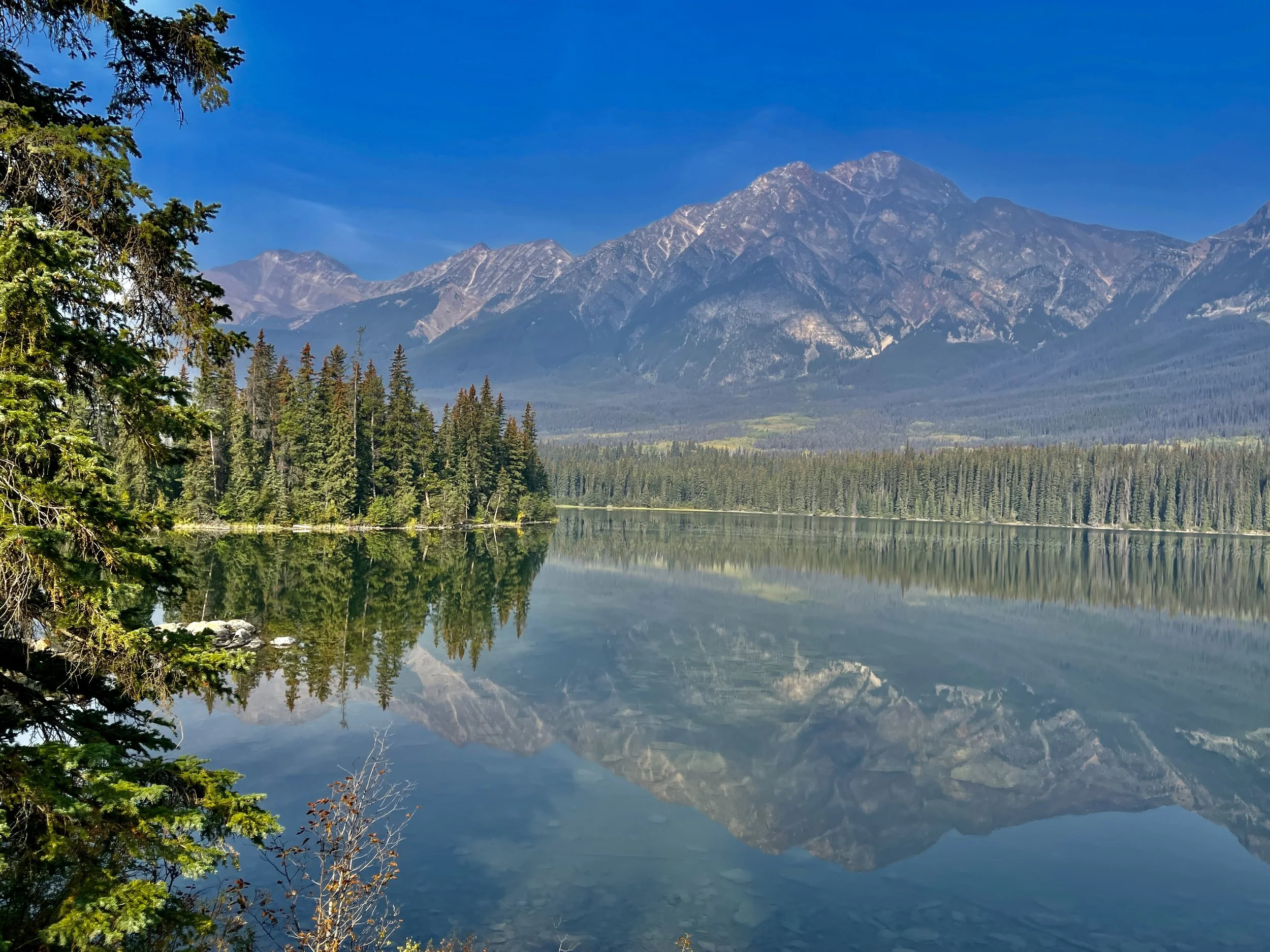 Look at the Mirror image. This is spectacular! :0
