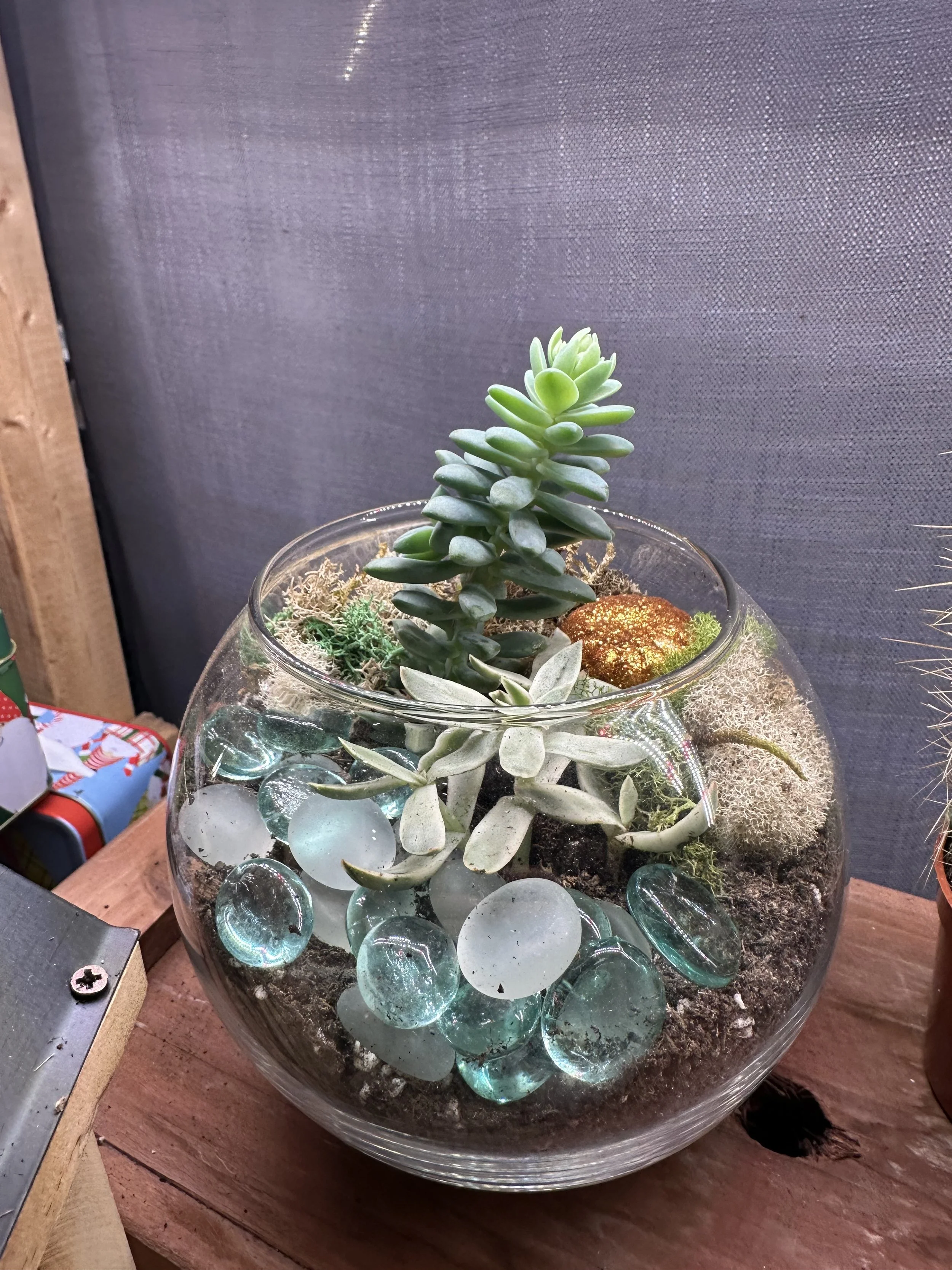 Terrariums