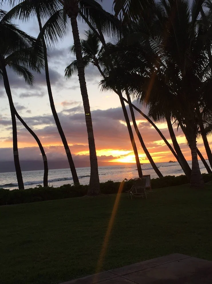 Sunset over the ocean with silhouettes of palm trees and a grassy area with two lounge chairs