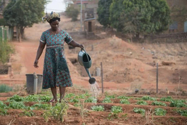 Take ownership of your personal growth in faith