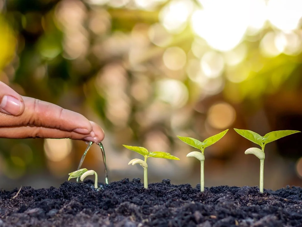 Your Part in God’s Work – Christ’s Mission