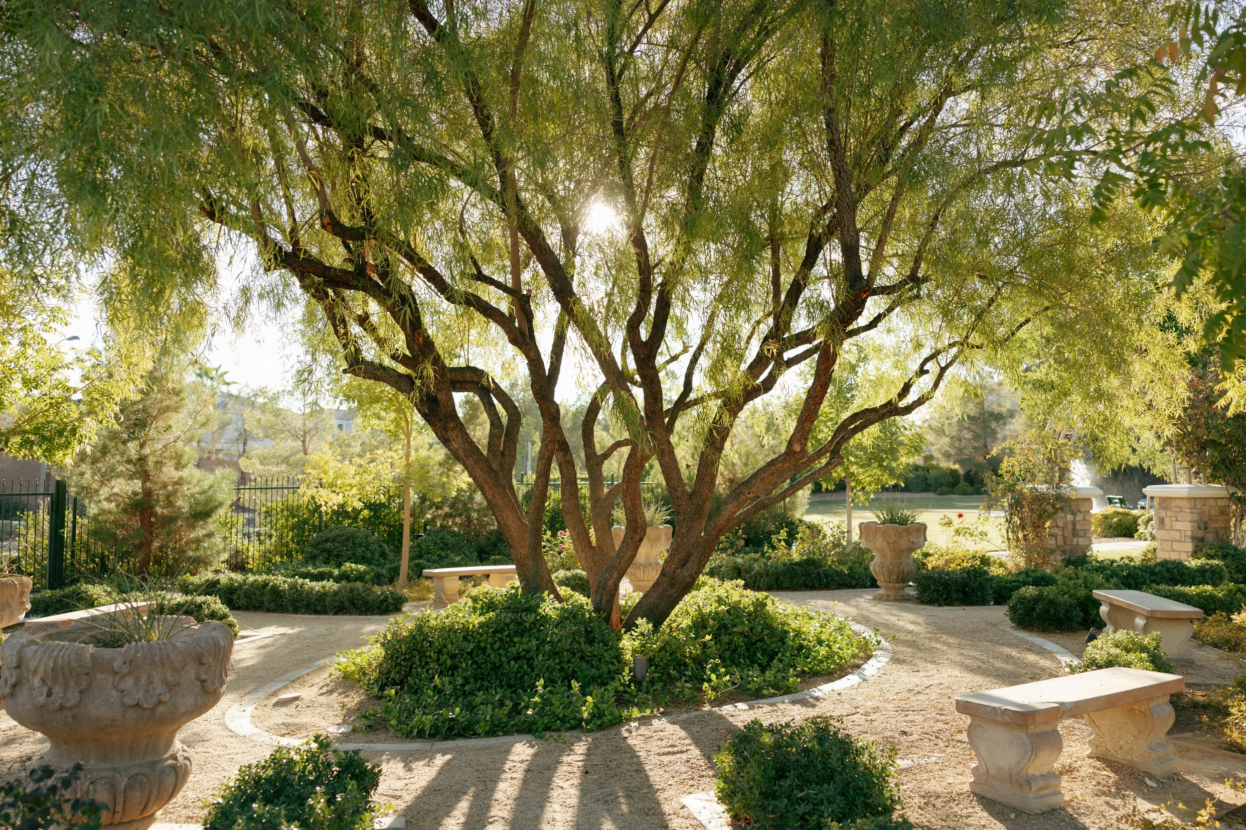 Garden Engagement Session | Las Vegas | Meliyah D Photography