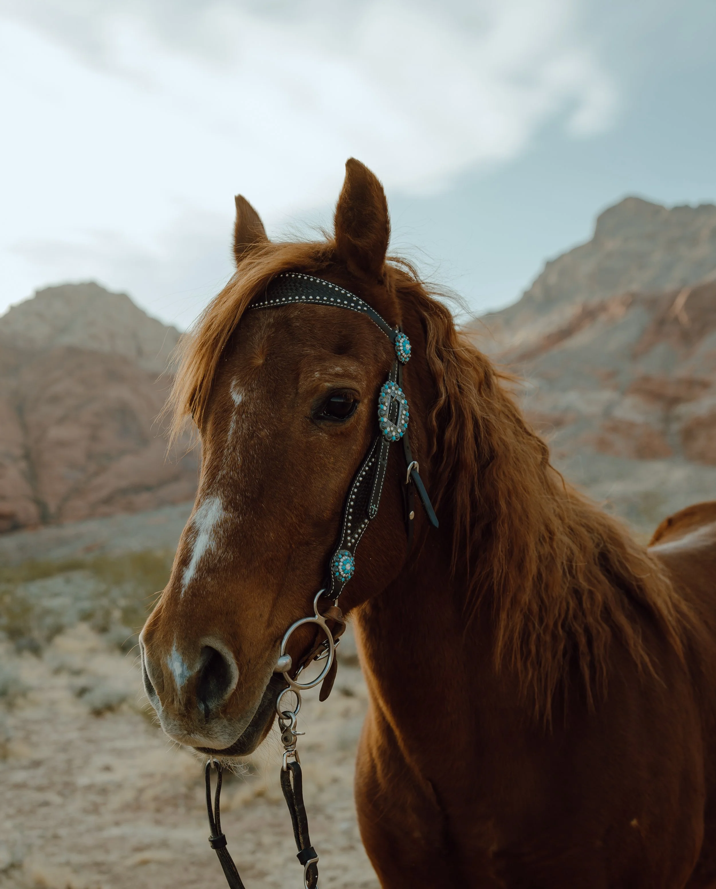 Las Vegas senior photos - Meliyah D Photography