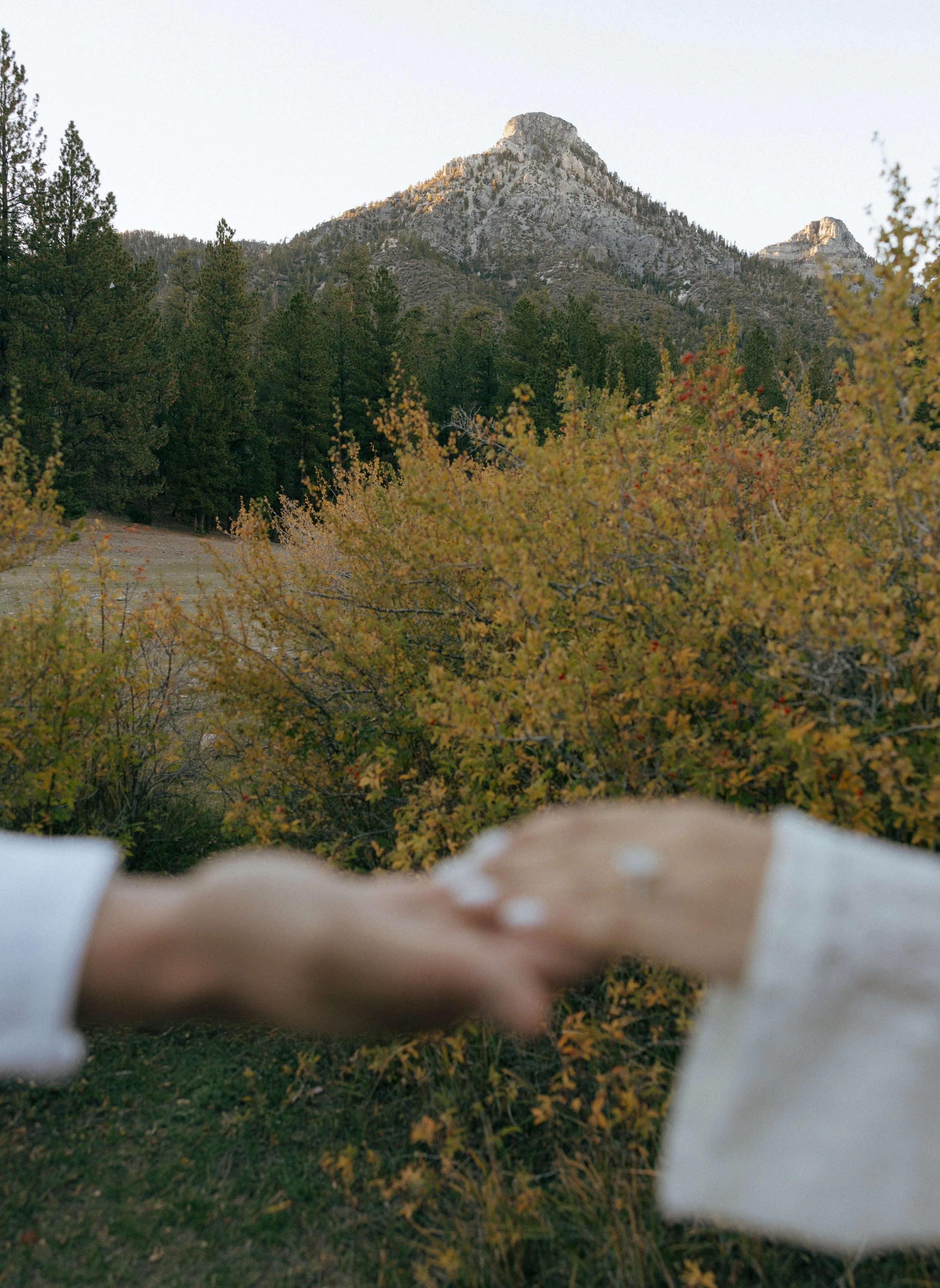 Mt Charleston Engagement Photos | Las Vegas Wedding Photographer | Meliyah D Photography