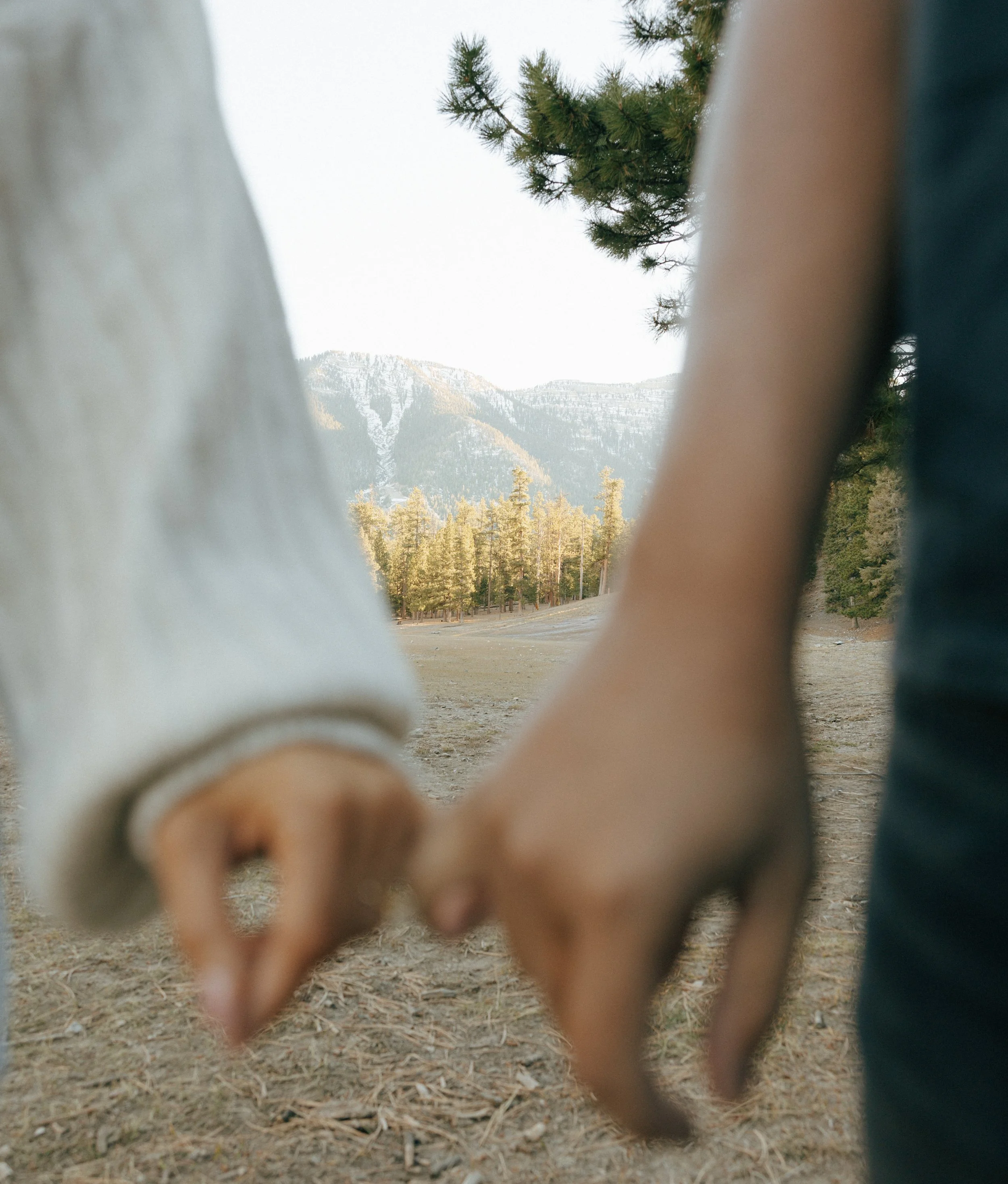 Mt. Charleston Engagement Session | Las Vegas | Meliyah D Photography