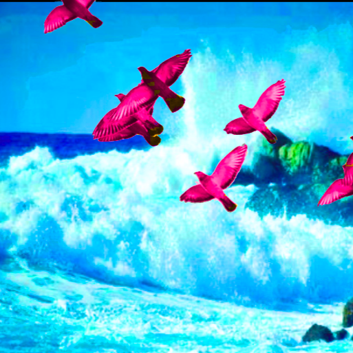 12 session package / in person